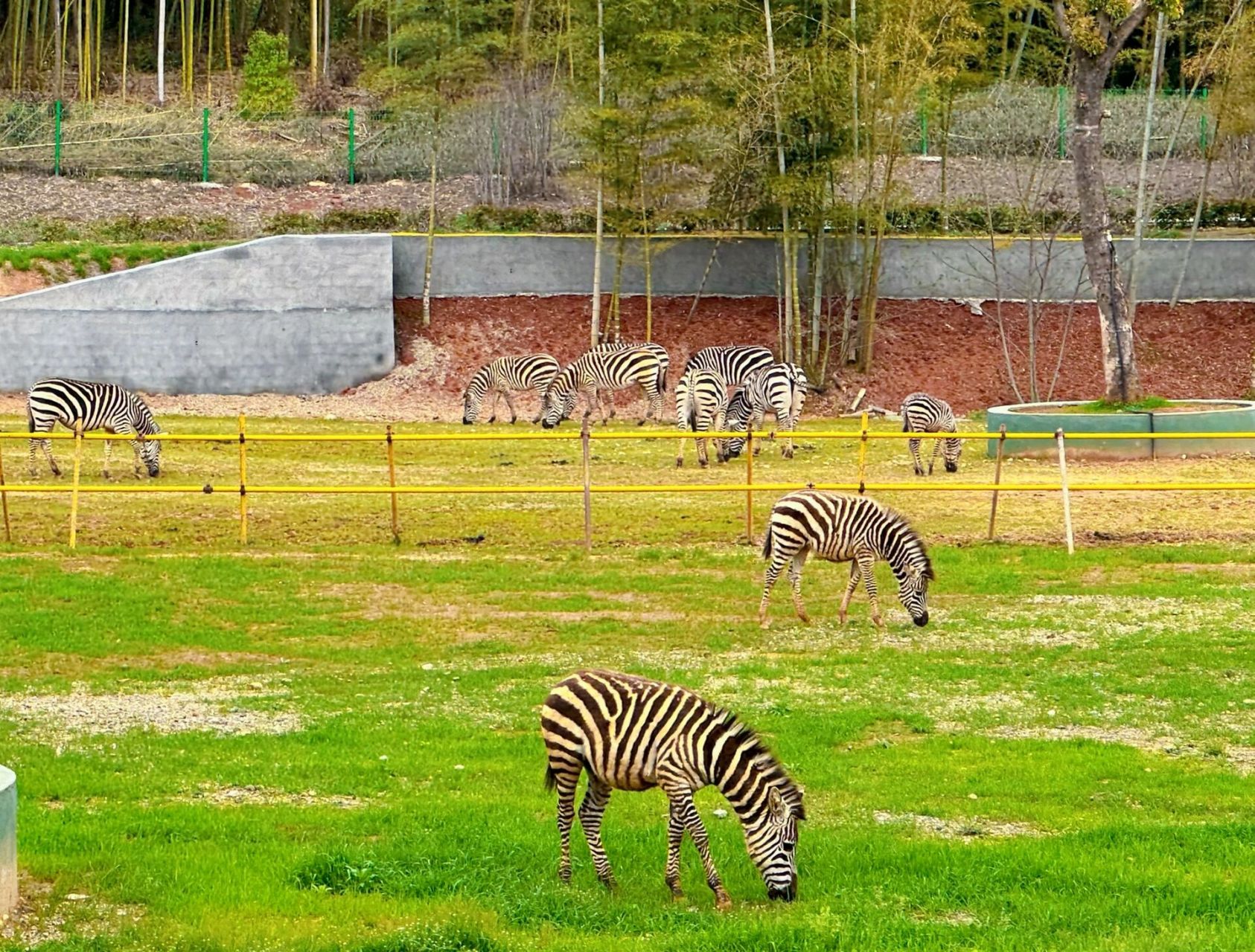 湖南常德野生动物园|长沙周边游攻略 长沙周边游周末好去处!