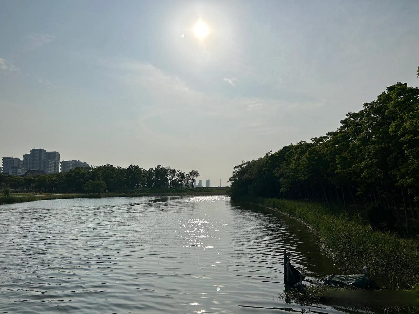 杭州围海造田形成的东沙湖,有点原生态 杭州钱塘区大江东都是上个世纪