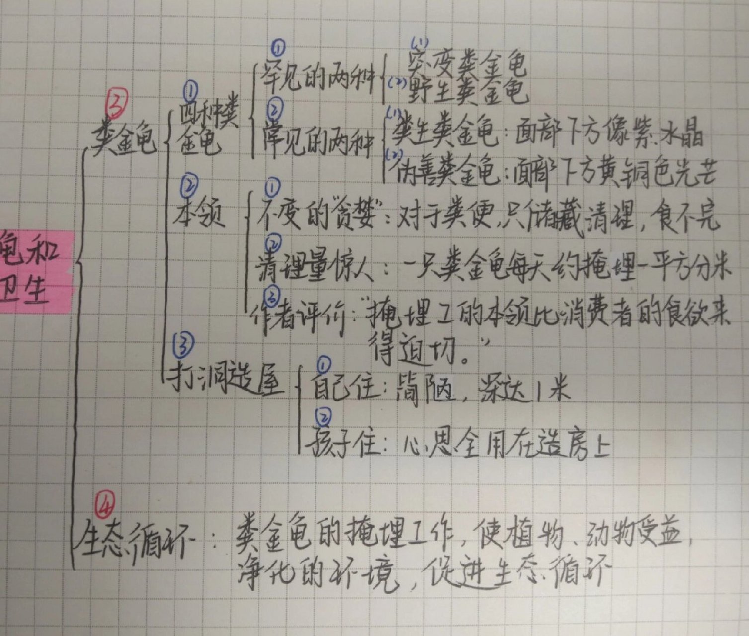 《昆虫记》思维导图 粪金龟和公共卫生 《昆虫记》和《红星照耀中国》