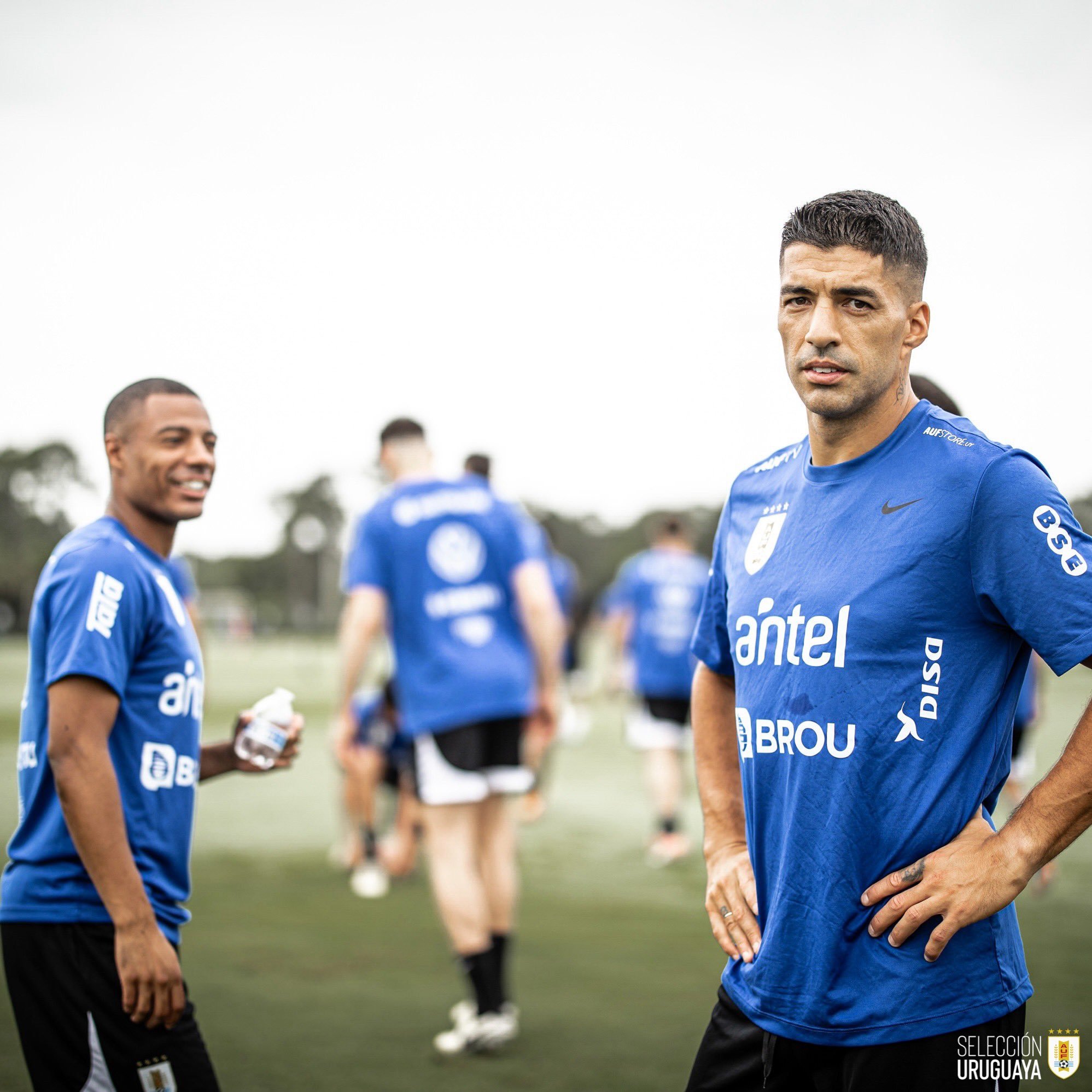 苏亚雷斯超话#2024美洲杯##vamosuruguay