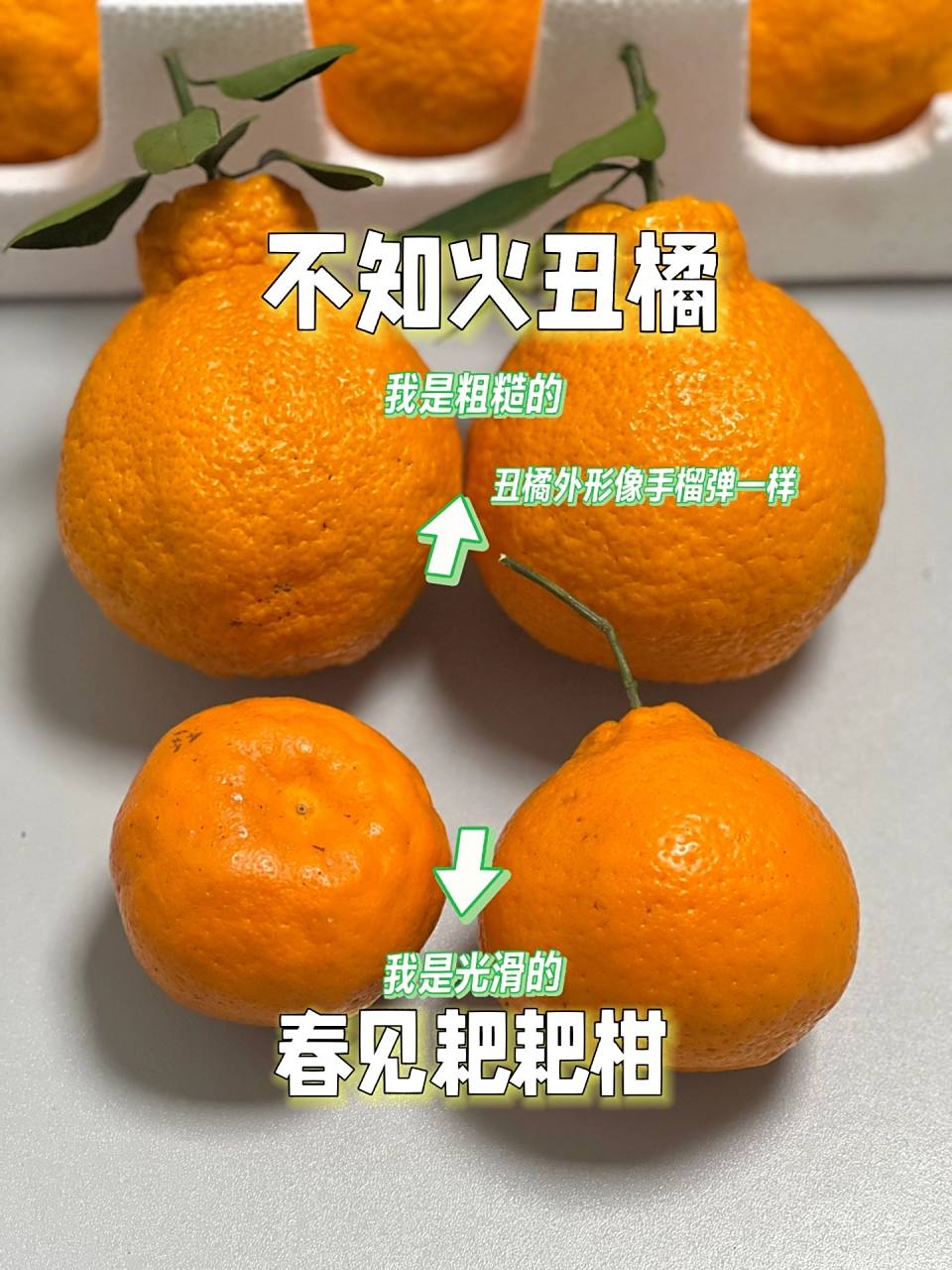 耙耙柑和丑橘怎样分辨?