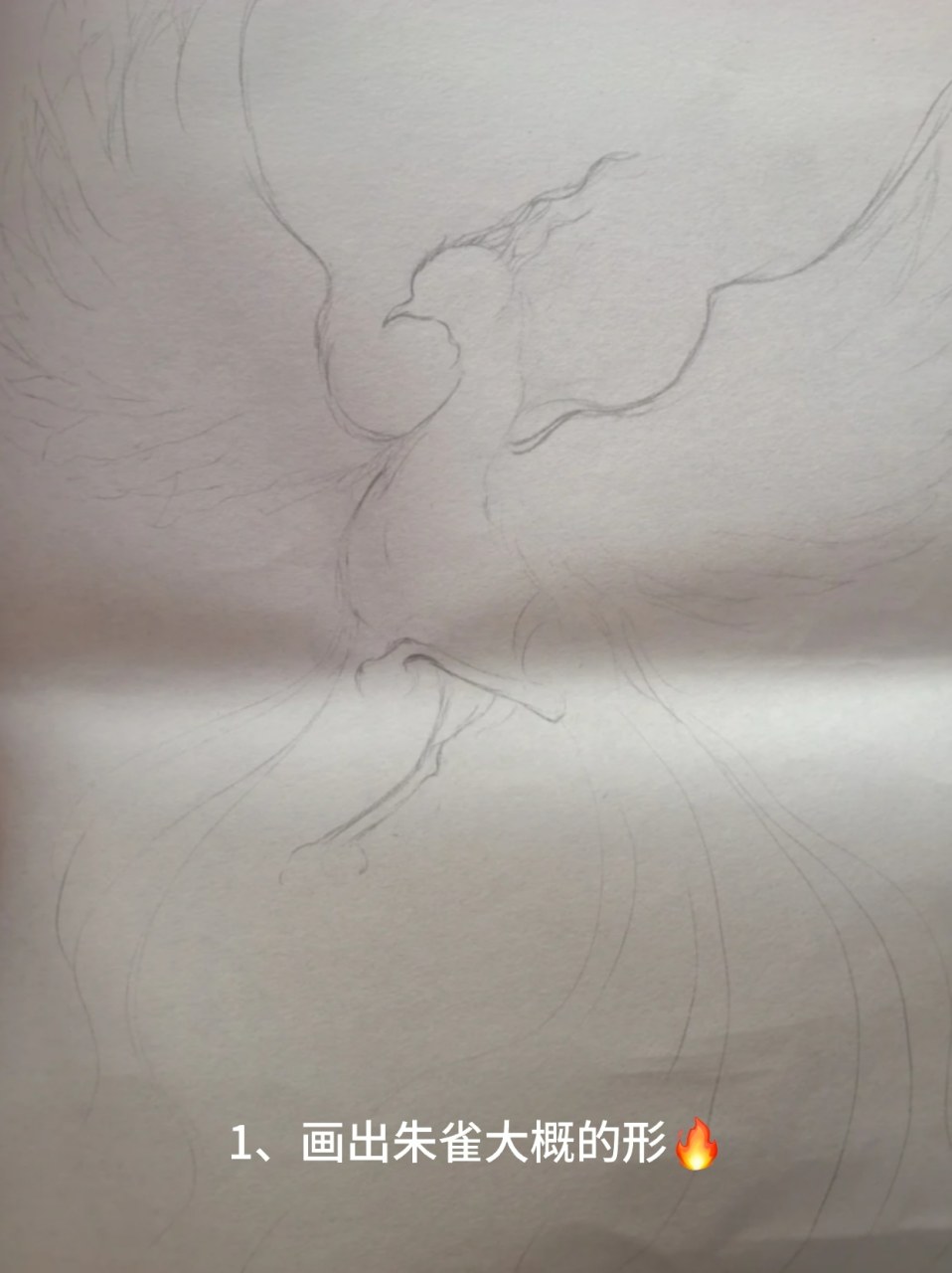 今天就分享一下如何用铅笔画朱雀,希望能帮到你93