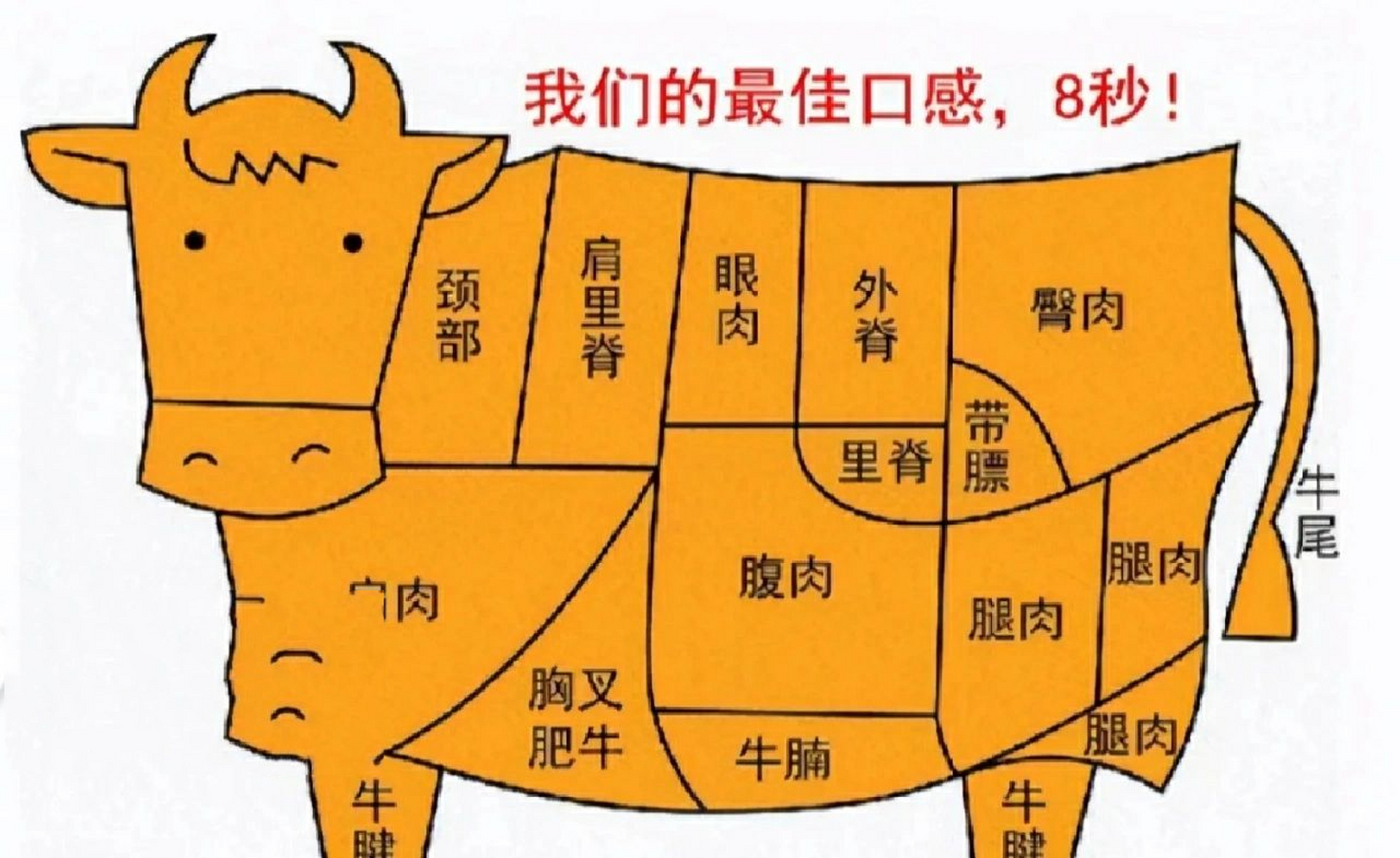 牛肉各部位及健康吃法(上篇) 据说一头黄牛仅有37%的出肉率,新鲜宰割