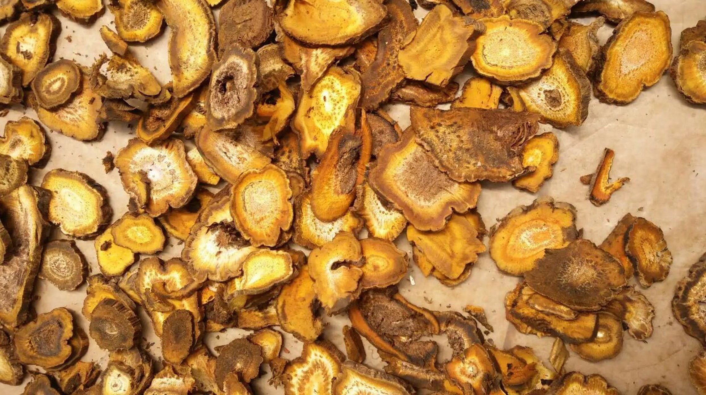 岷归,纹党…甘肃出产10大道地中药材盘点!