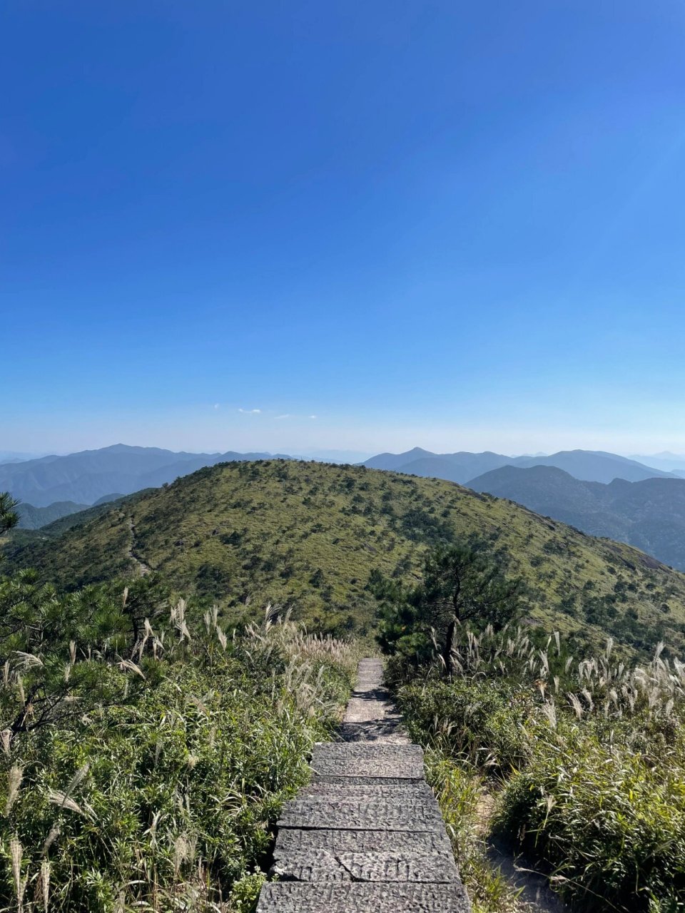 打卡~龙泉·凤阳山 攀一座  江浙第一高峰冲!冲!冲!