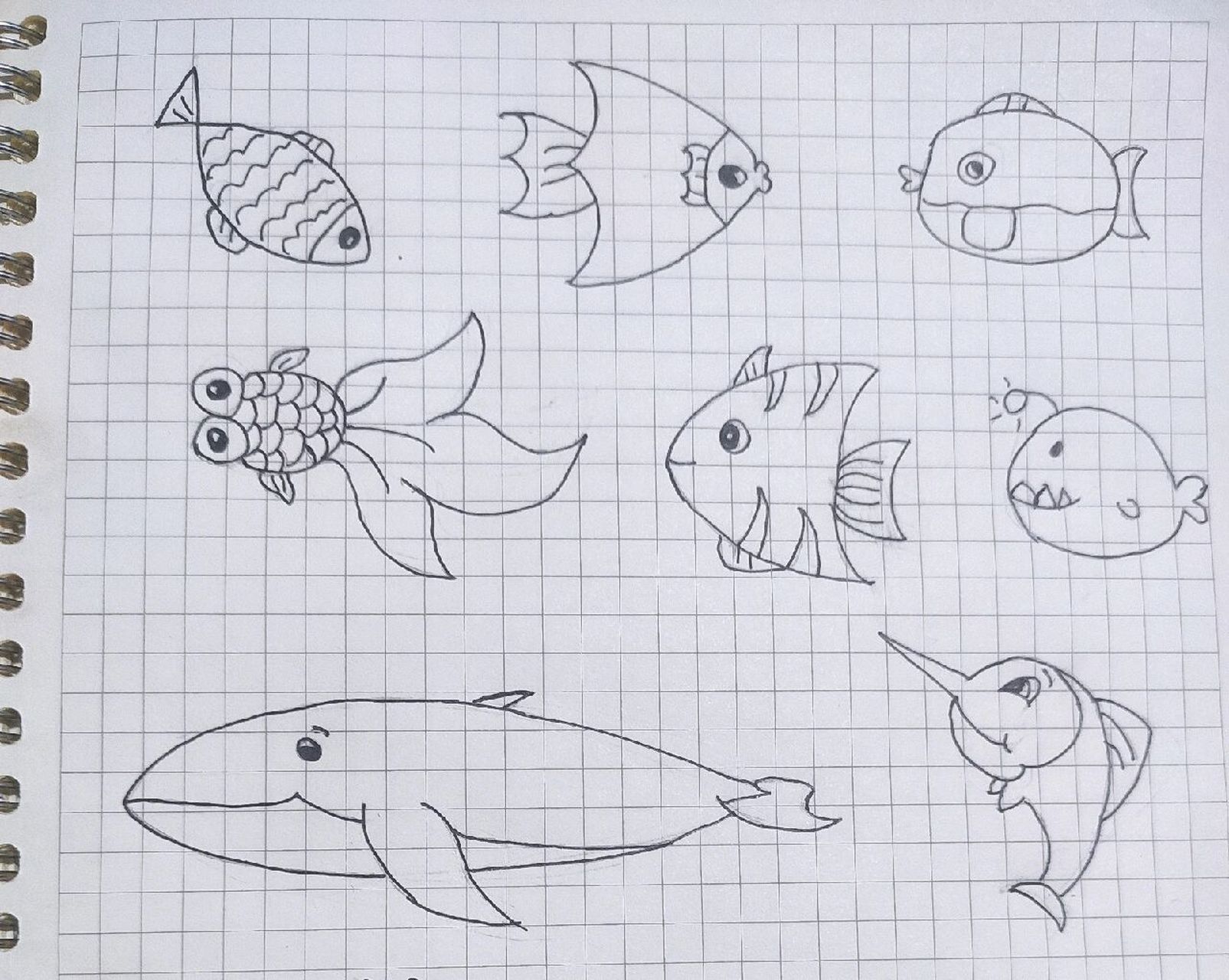 简笔画 鱼95 打卡海底世界之95 需要的姐妹93 可以拿走 又是被