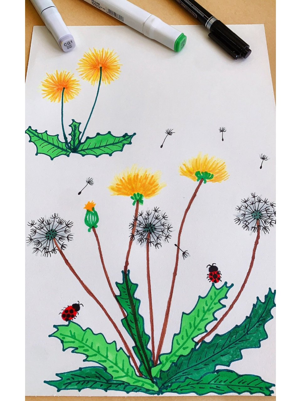 蒲公英儿童画