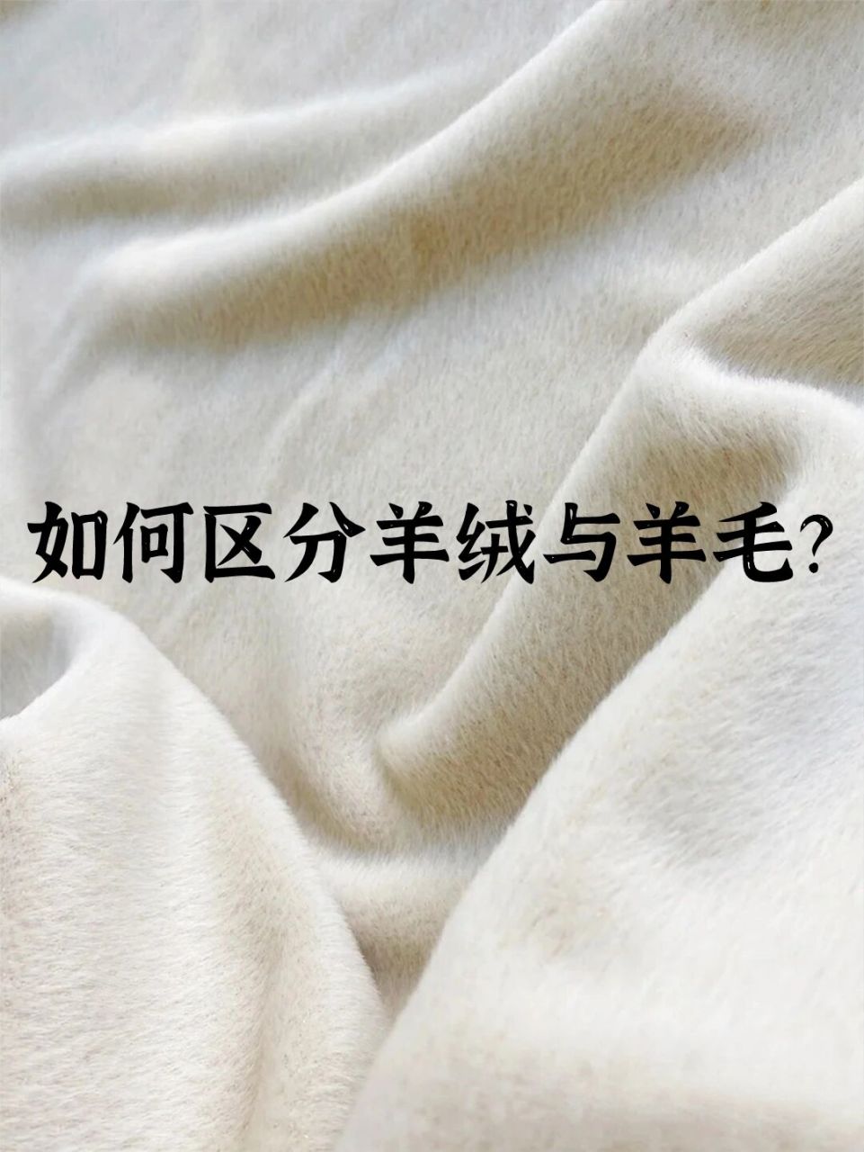这一篇说一说他它们的区别 - 来源不同 羊绒和羊毛长在不同种类的羊