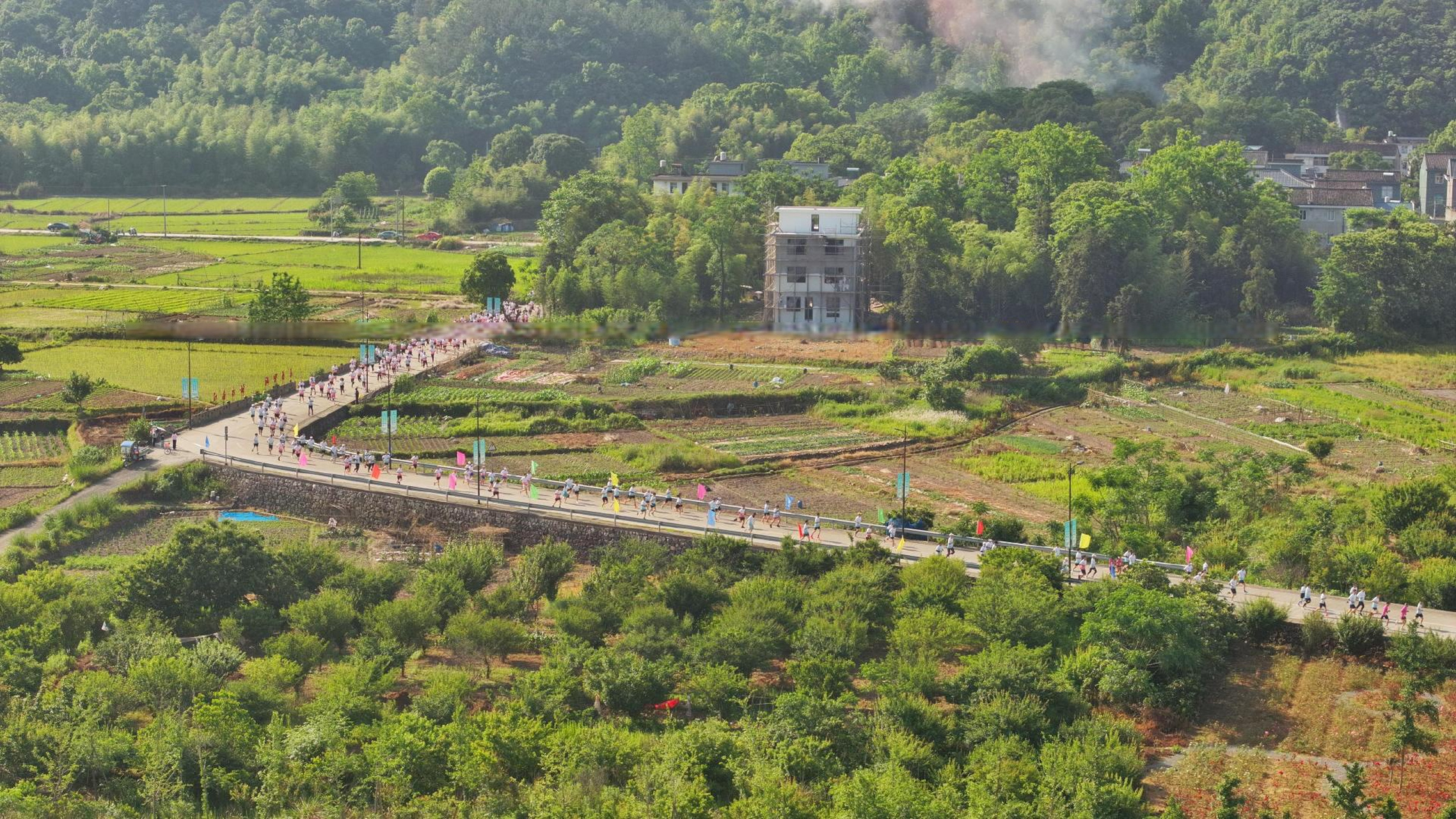 宁海岔路梅花村会议图片