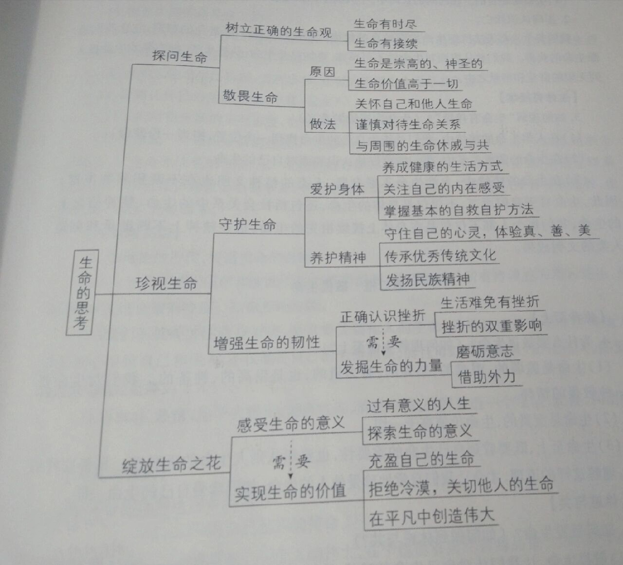 政治探问生命思维导图图片