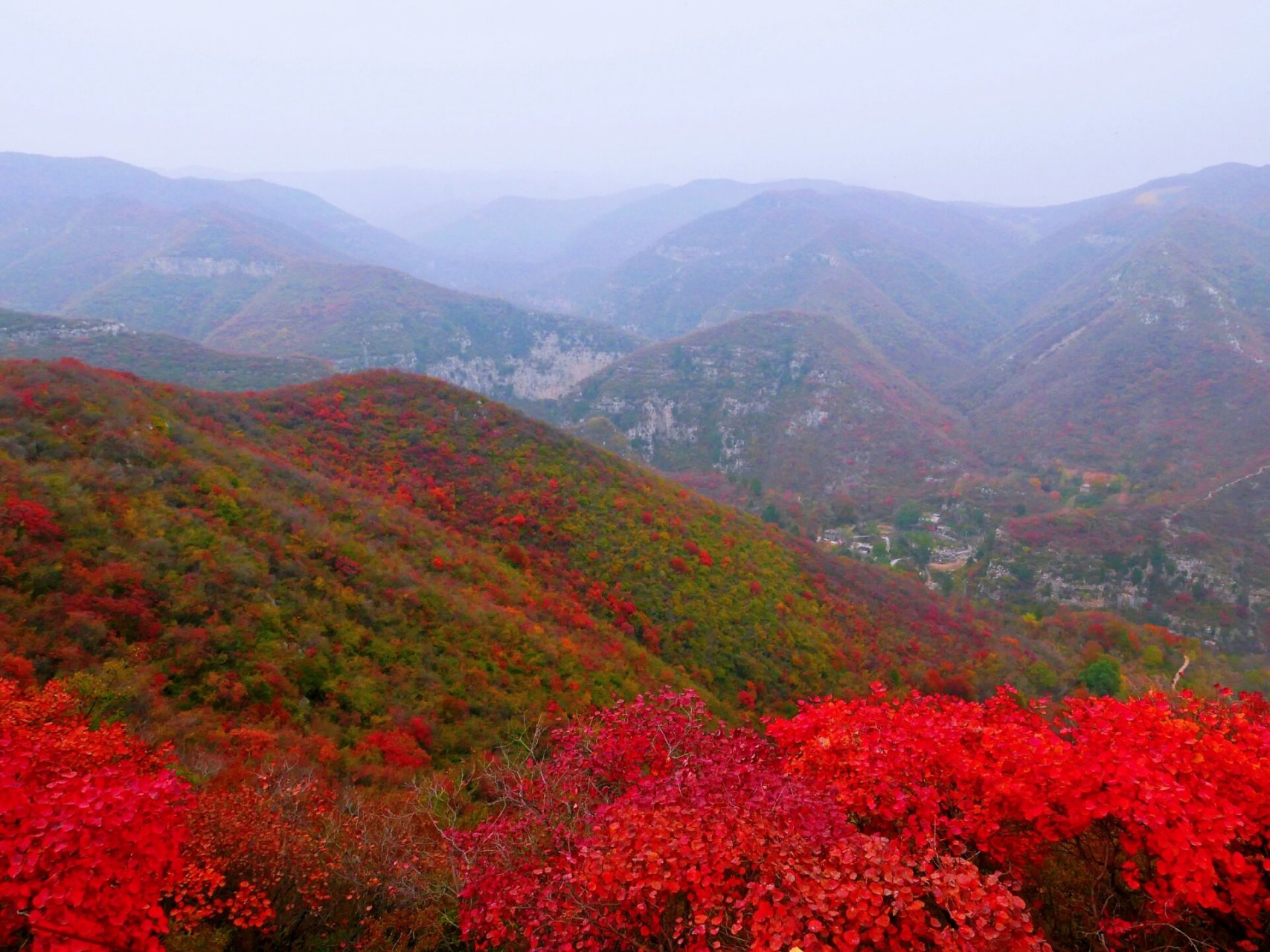 焦作 | 窄门峡谷,红叶飘飘