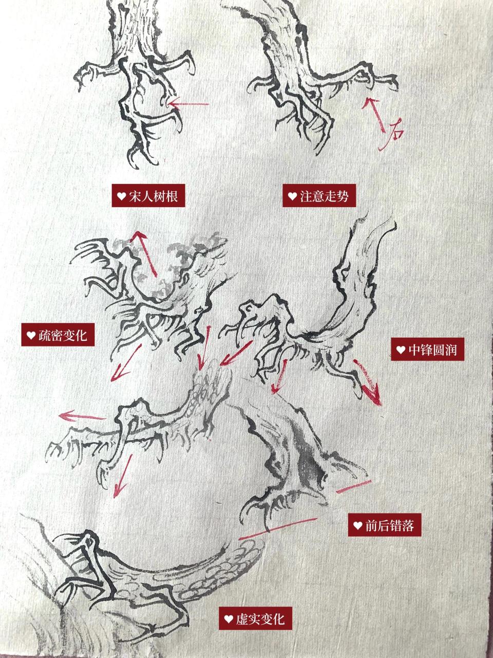 国画秘籍|30种树根画法 画树根笔力要苍劲,用意向下扎,用笔往回收,墨