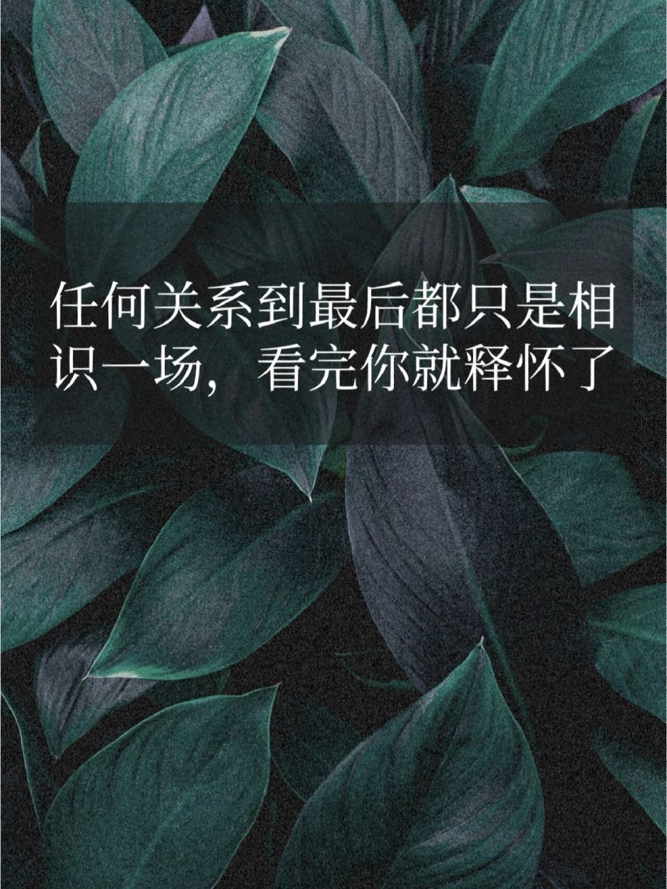 任何关系到最后都只是相识一场,看完释怀了 总有一天你会明白:任何