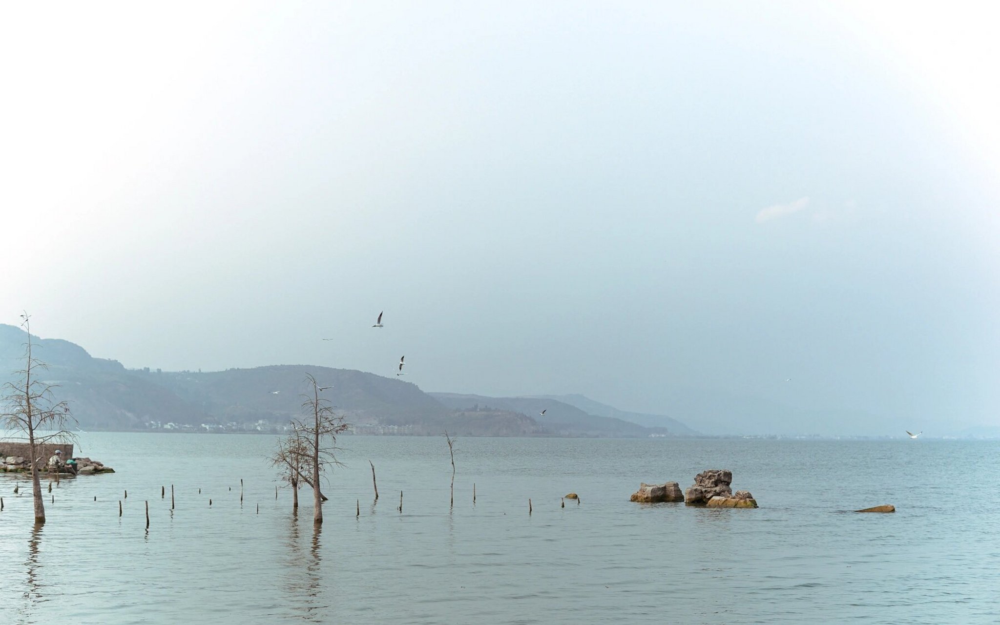 云南小众打卡点| 能看到海鸥94的星云湖78 推荐一个云南玉溪市