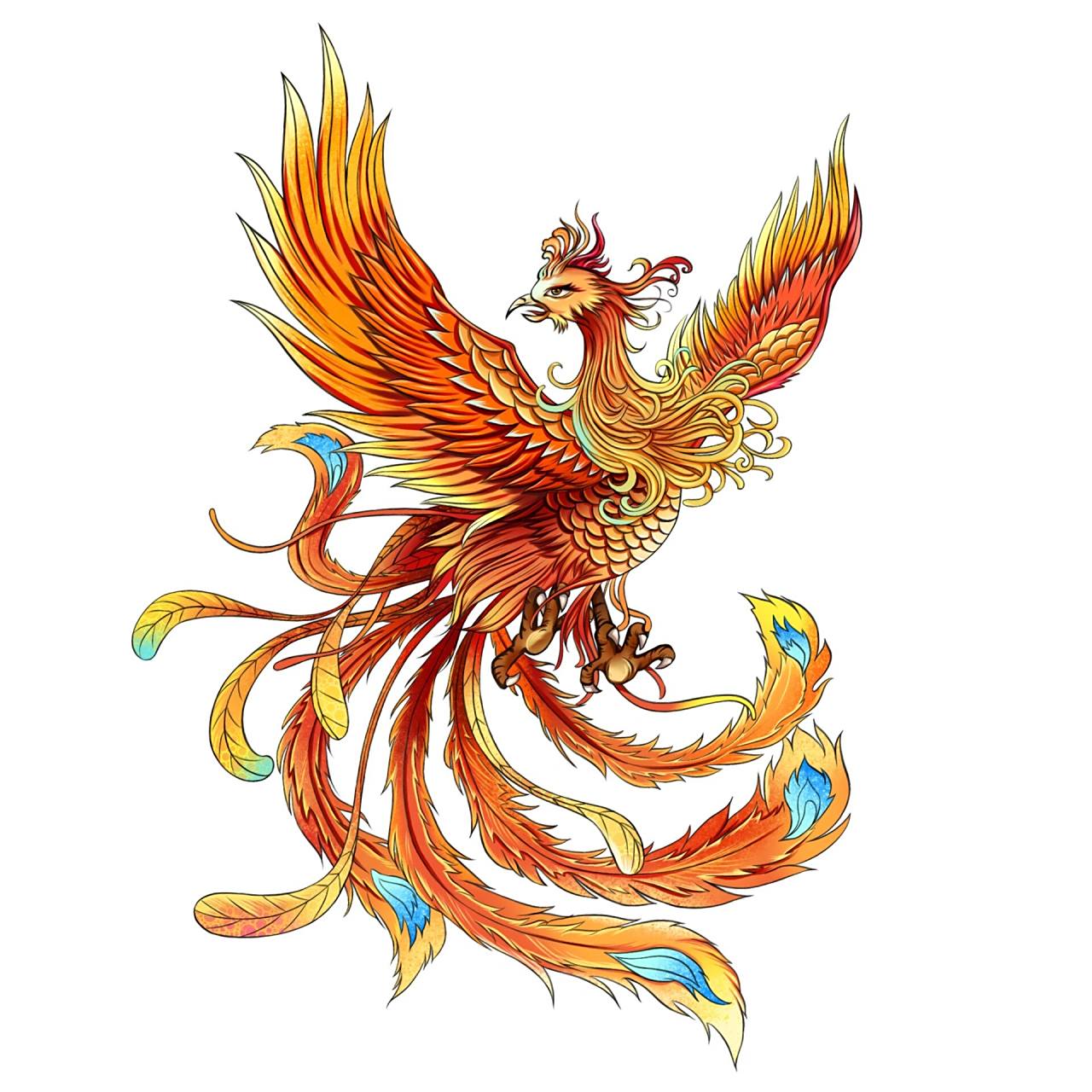 凤凰大合集|哪个更胜一筹60156315 凤凰系列画的差不多啦