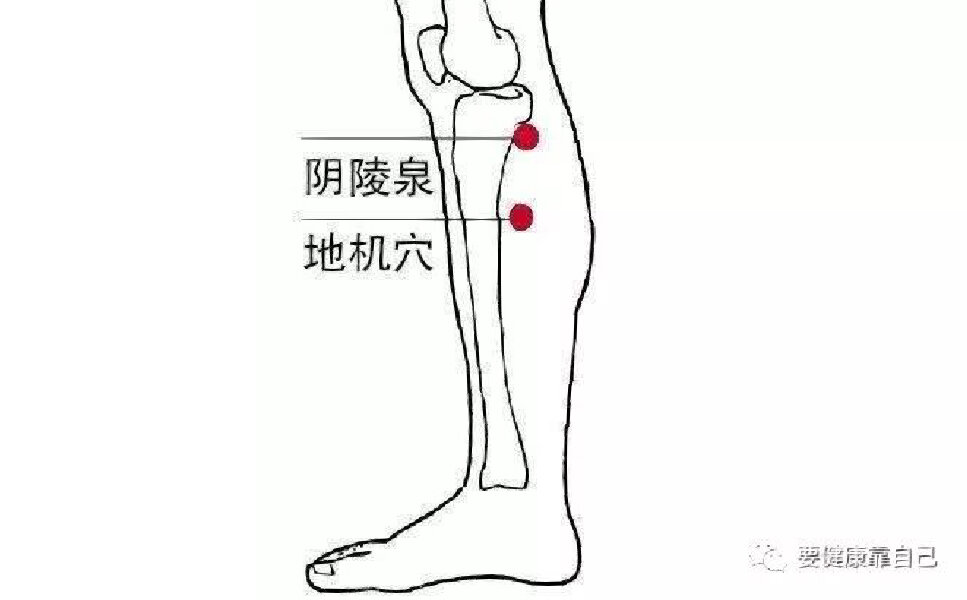 胫骨内上髁位置图片