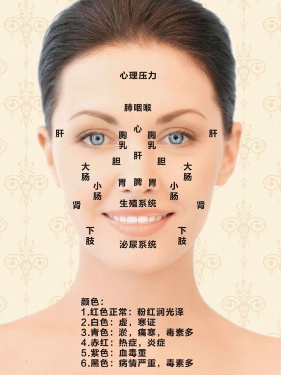 女性面部痘痘反射区图图片