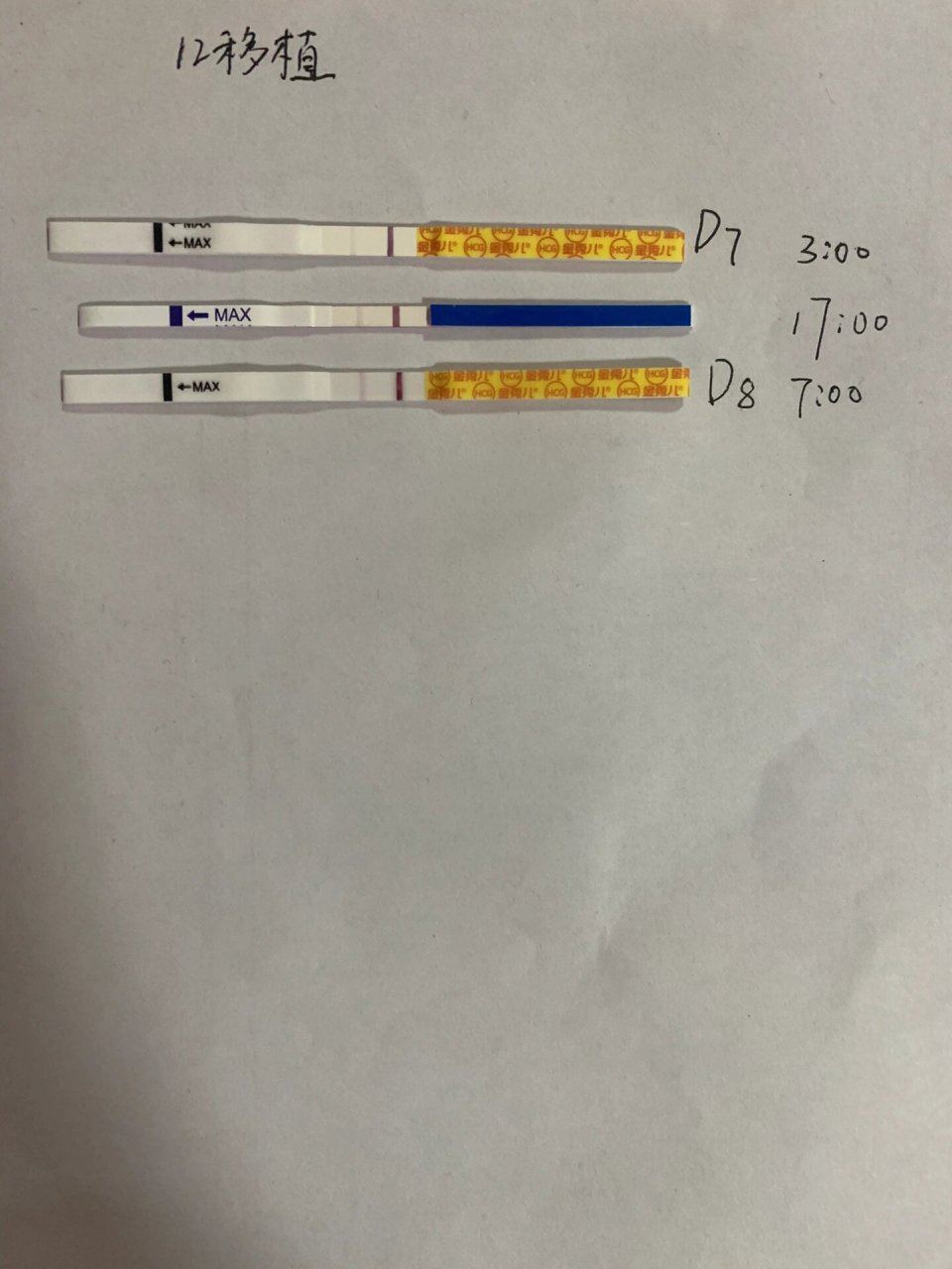 囊胚移植后试纸加深图图片