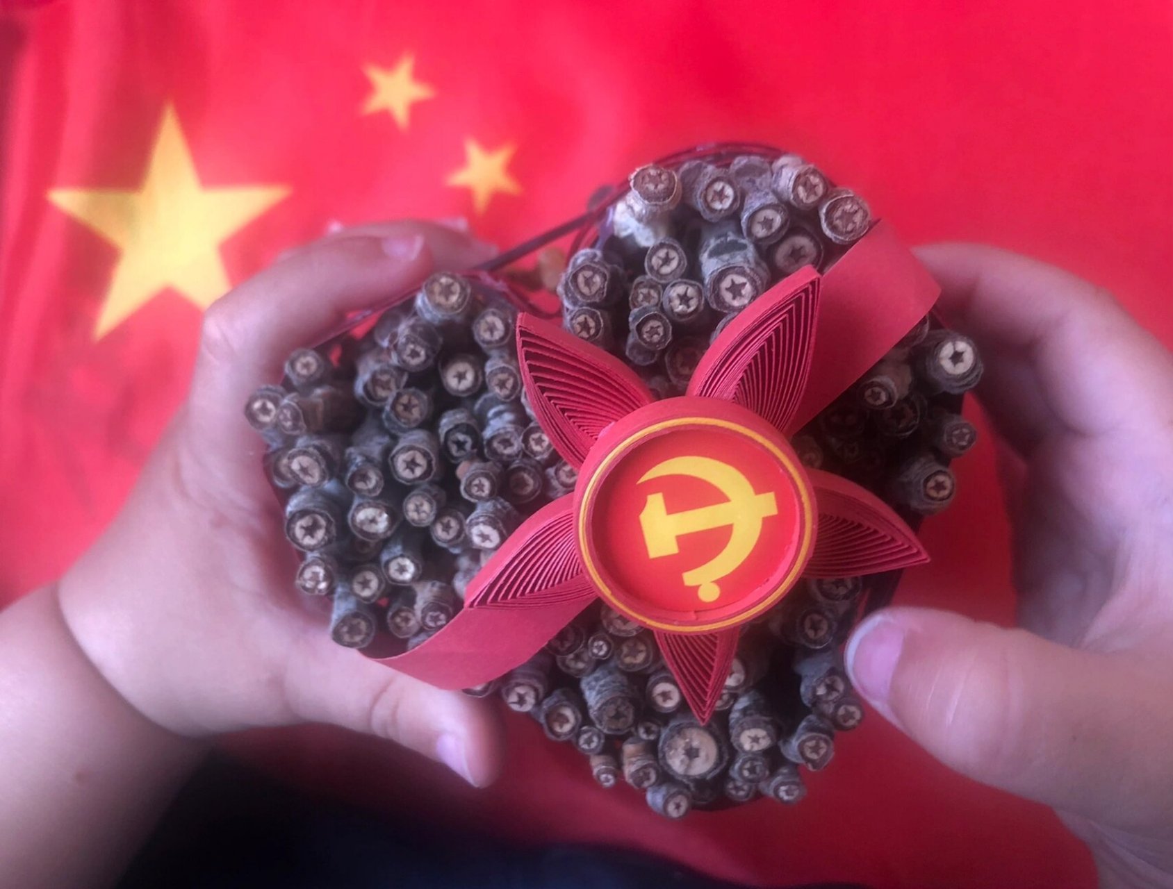 革命老区山西省武乡县王家峪村八路军总部旧址,该杨树的每一个小树枝