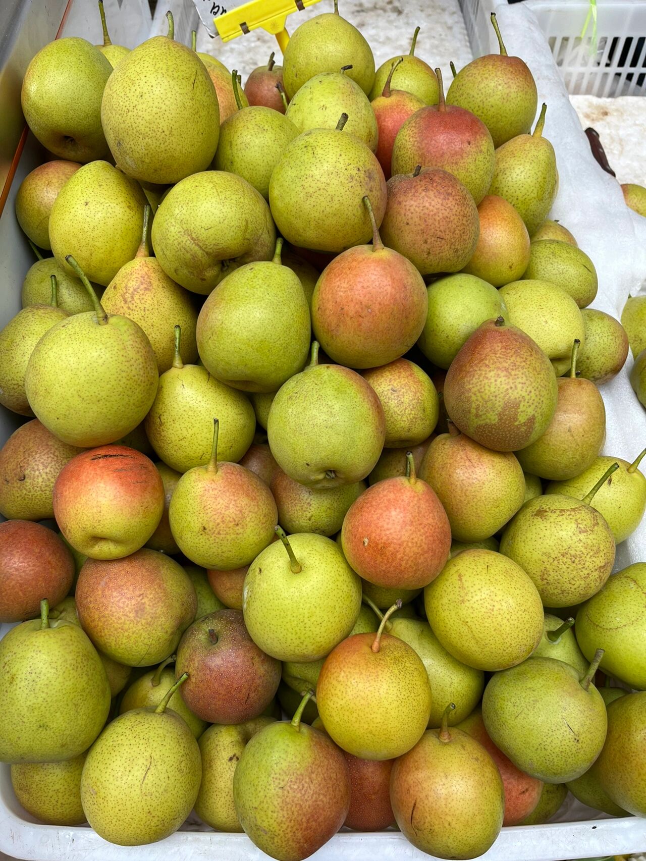 这个云南火把梨真好吃😋 🍎两块钱买了两个梨,好像是五块钱一斤
