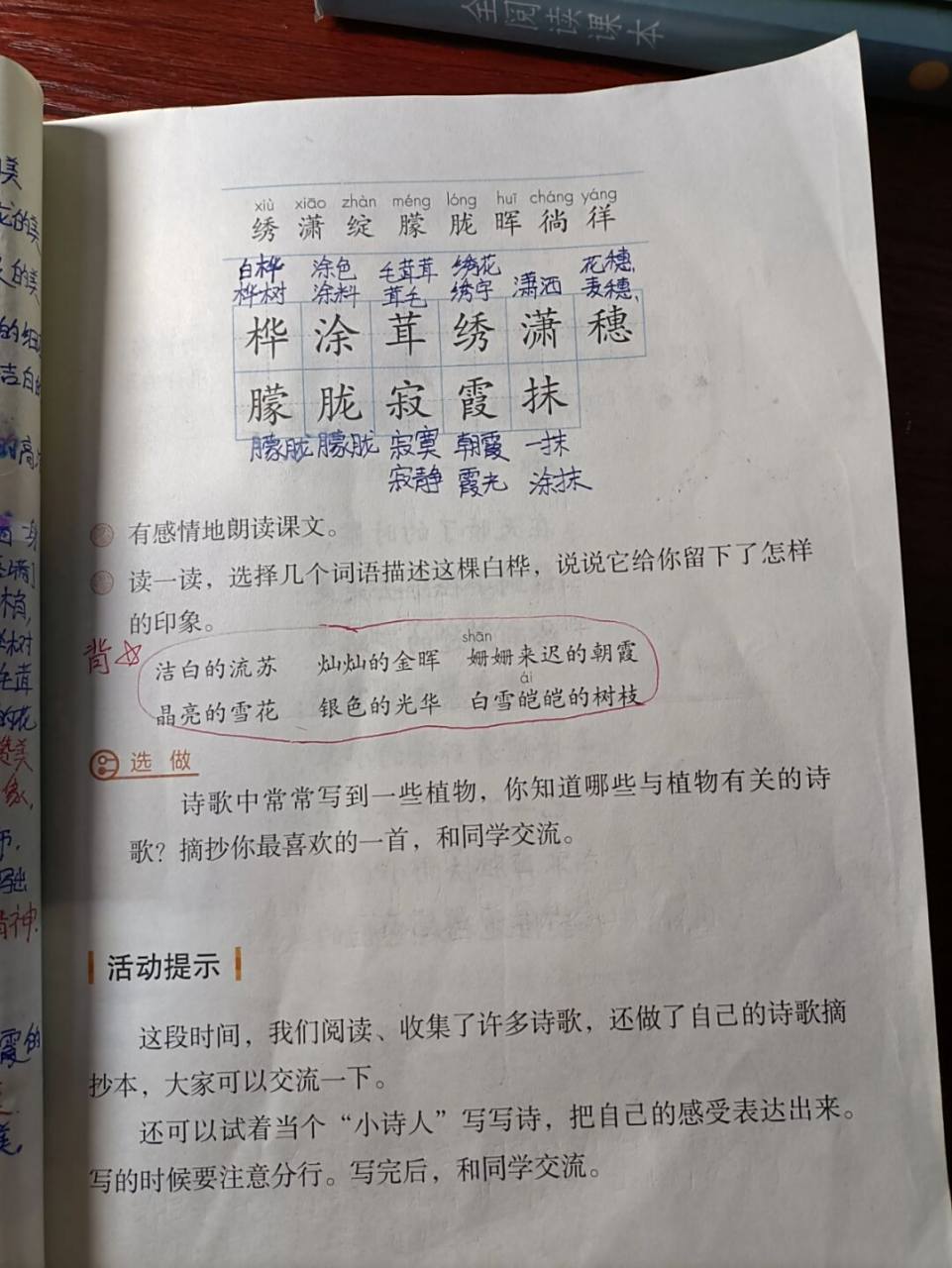 第十一课 白桦 #四年级语文下册课堂笔记# #四年级语文下册# #四年级