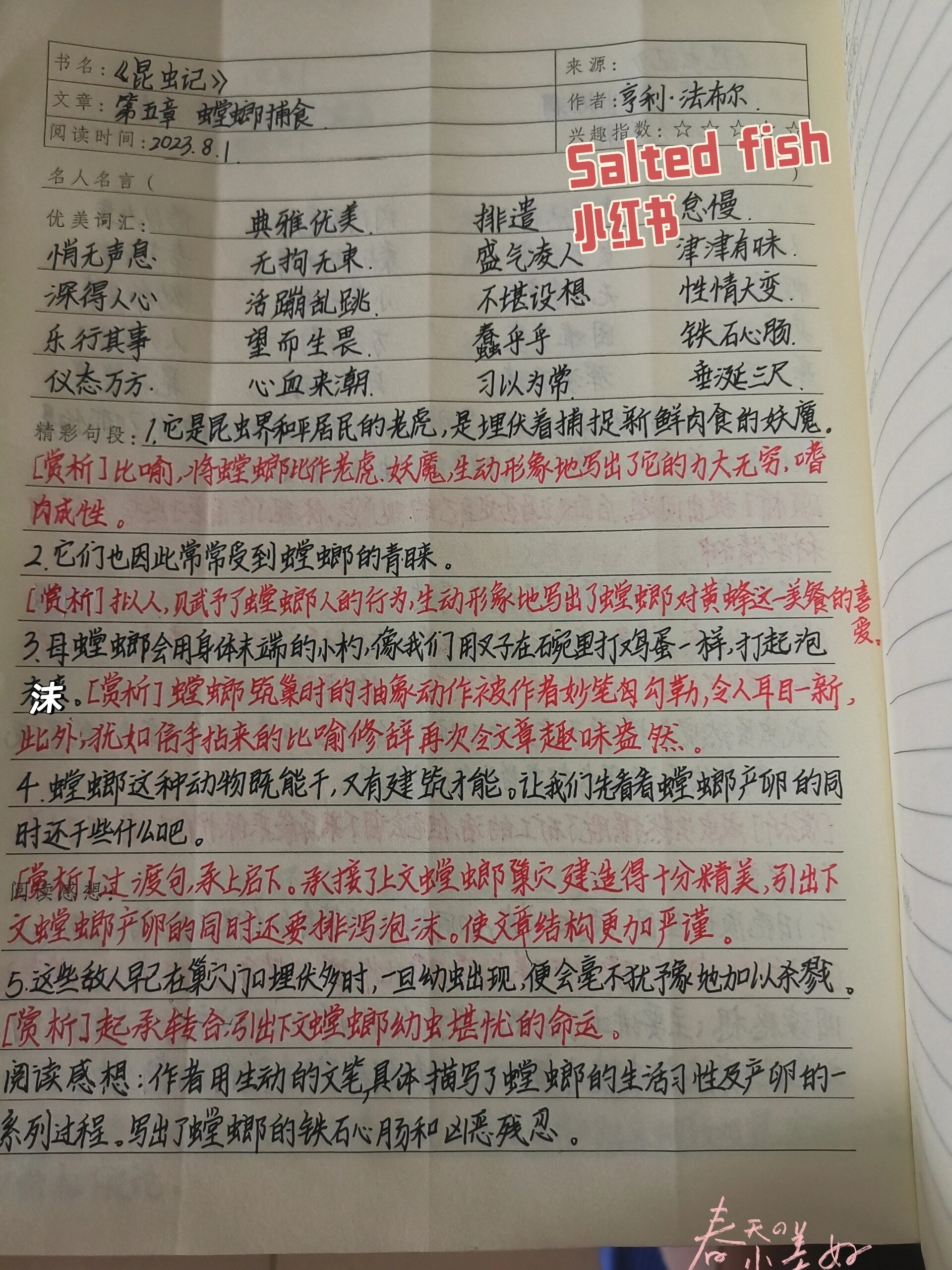 昆虫备忘录螳螂作文图片