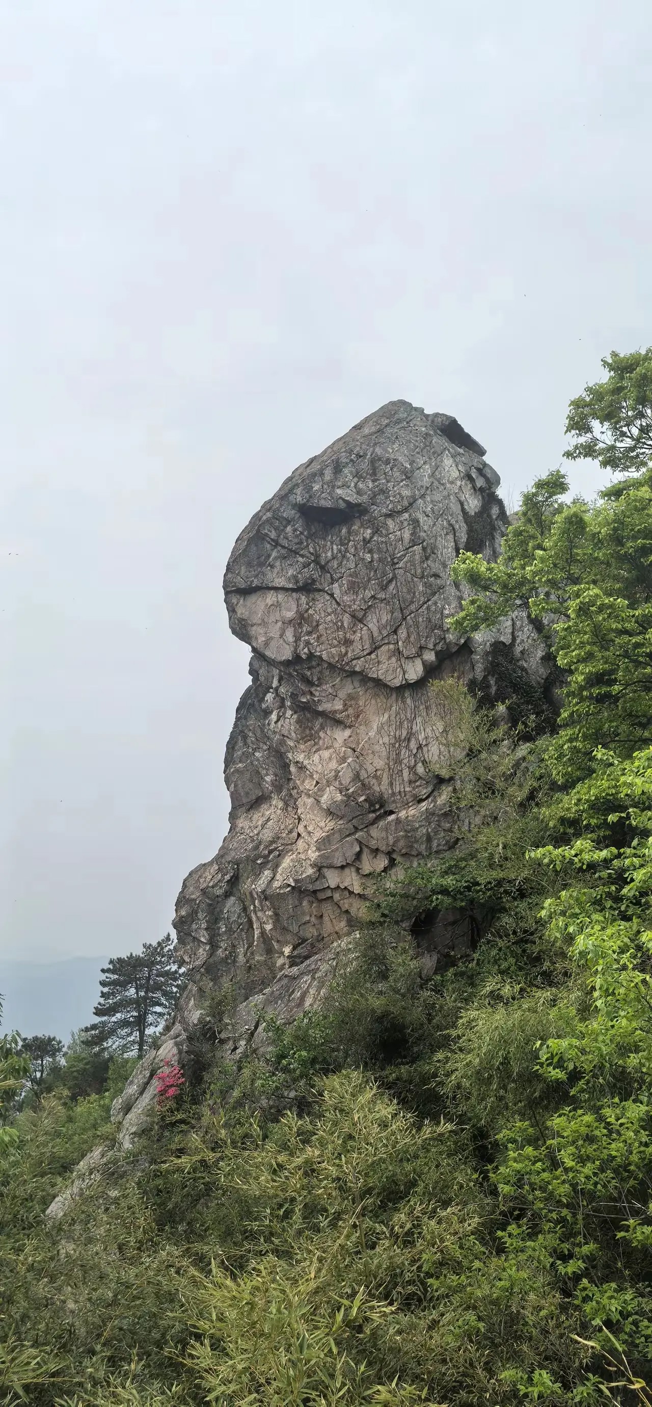 没有在长夜里舔舐过伤口,就不会珍惜黎明;没有经历