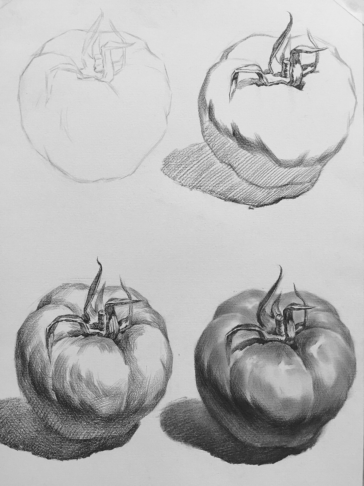 素描静物|单体 水果单体明暗调子步骤图分享,欢迎收藏!   玩沉香