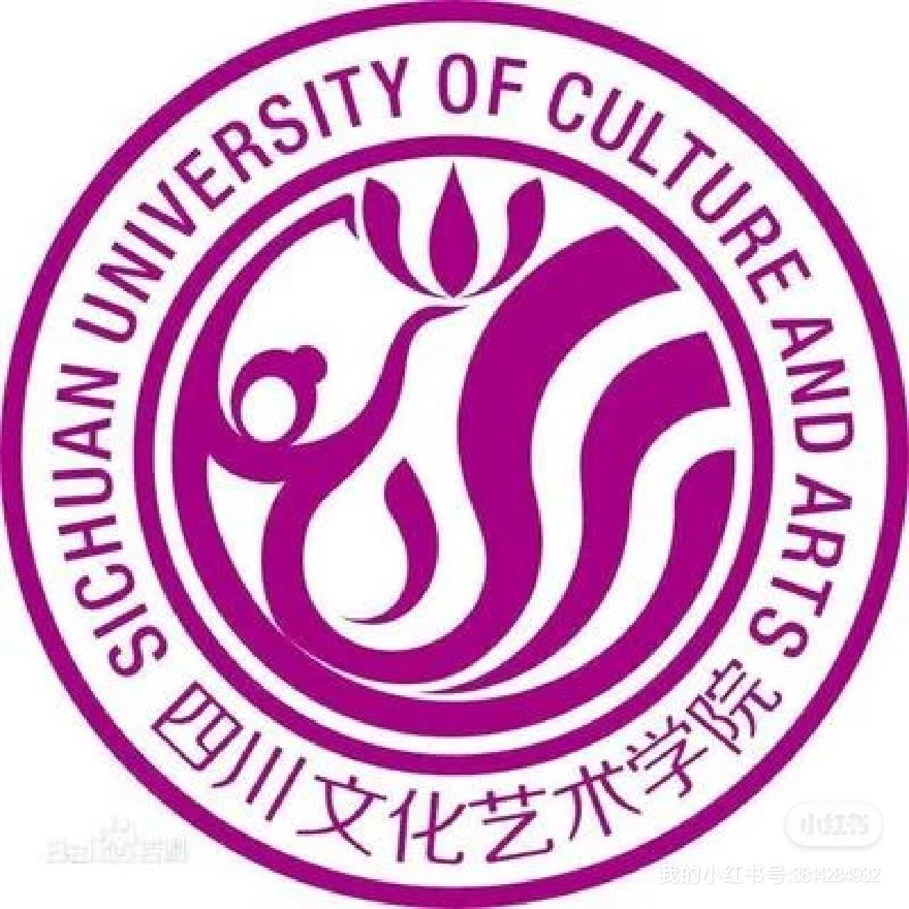 四川文化艺术学院和成都艺术职业大学 哪所学校好一点啊?