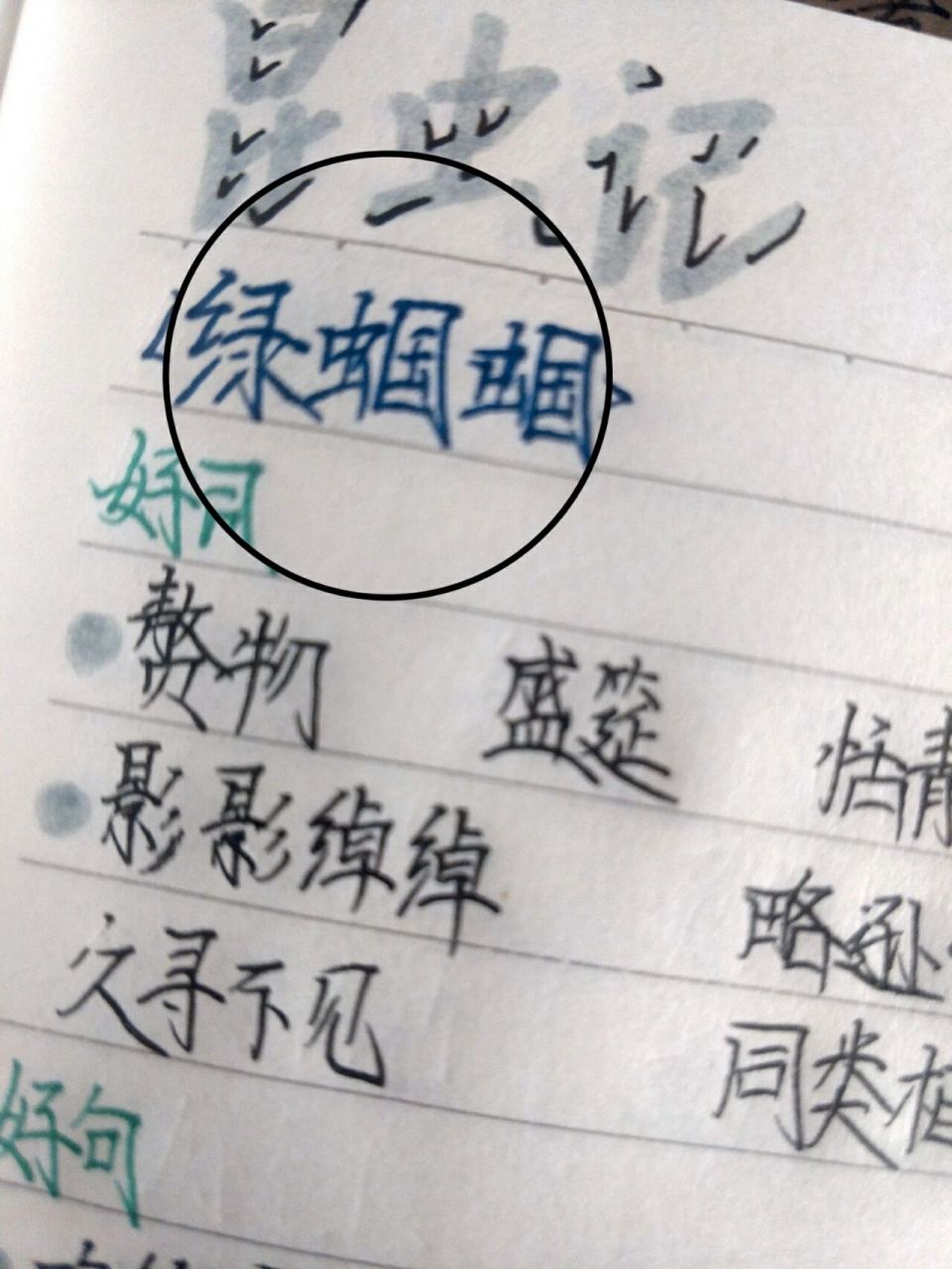 94昆虫记读书笔记‖第七章《绿蝈蝈》 78法布尔昆虫记,第七章《绿