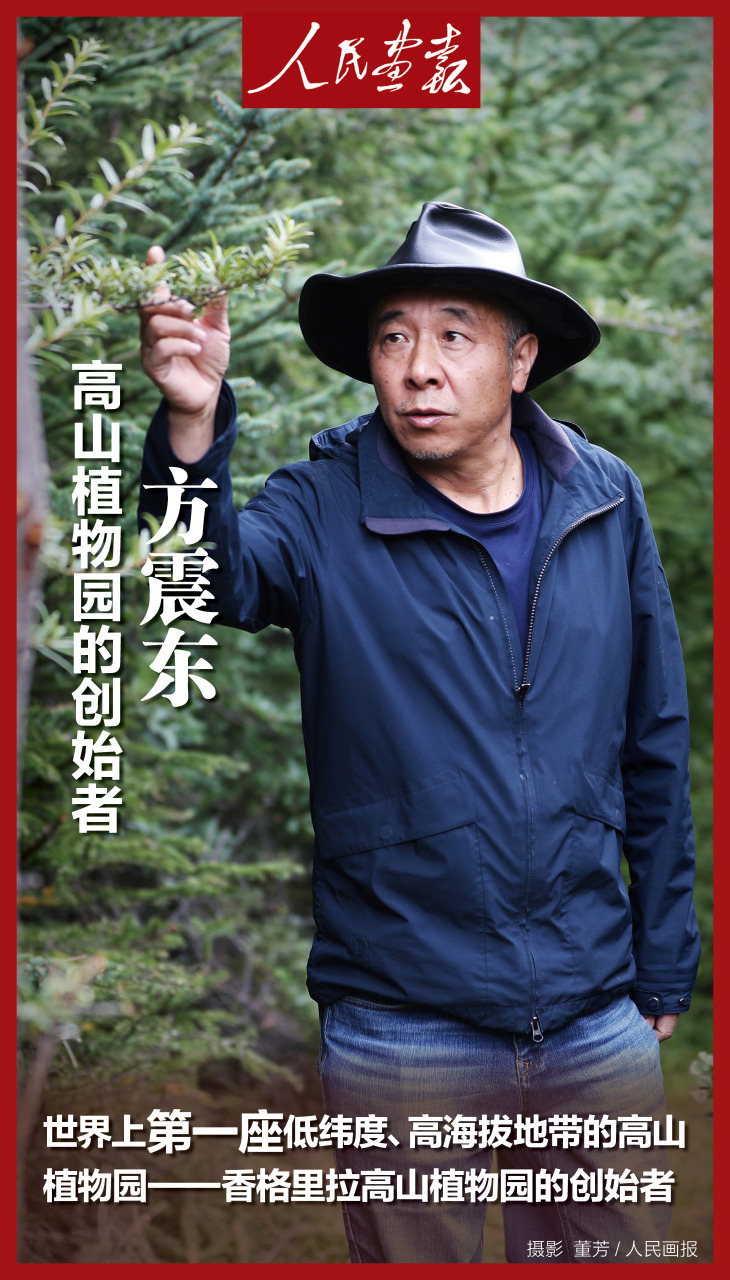 【方震东:高山植物园的创始者】今年57岁的方震东