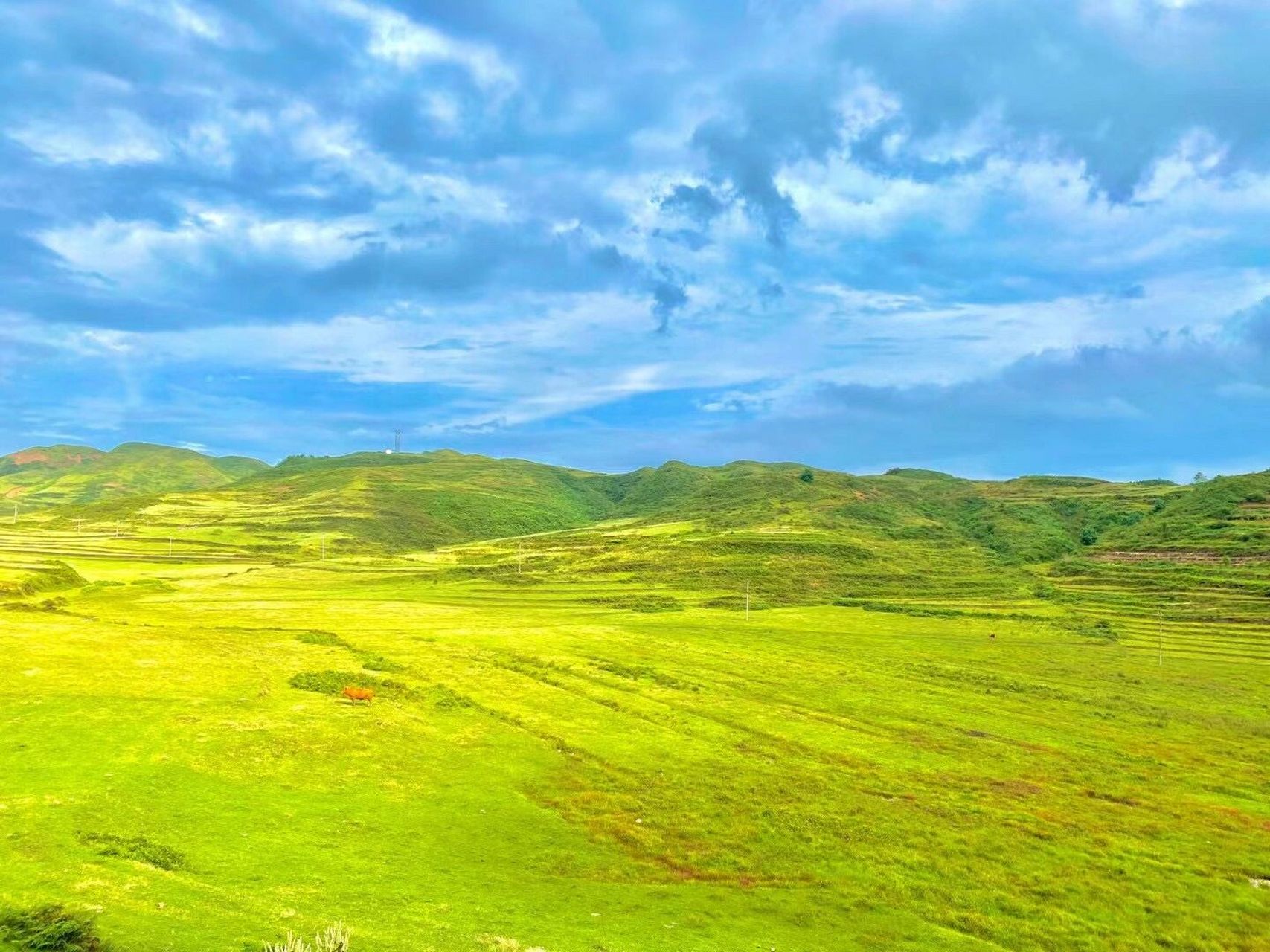 贵阳周边游 | 阿西里西大草原 地址:毕节赫章县阿西里西大草原 交通