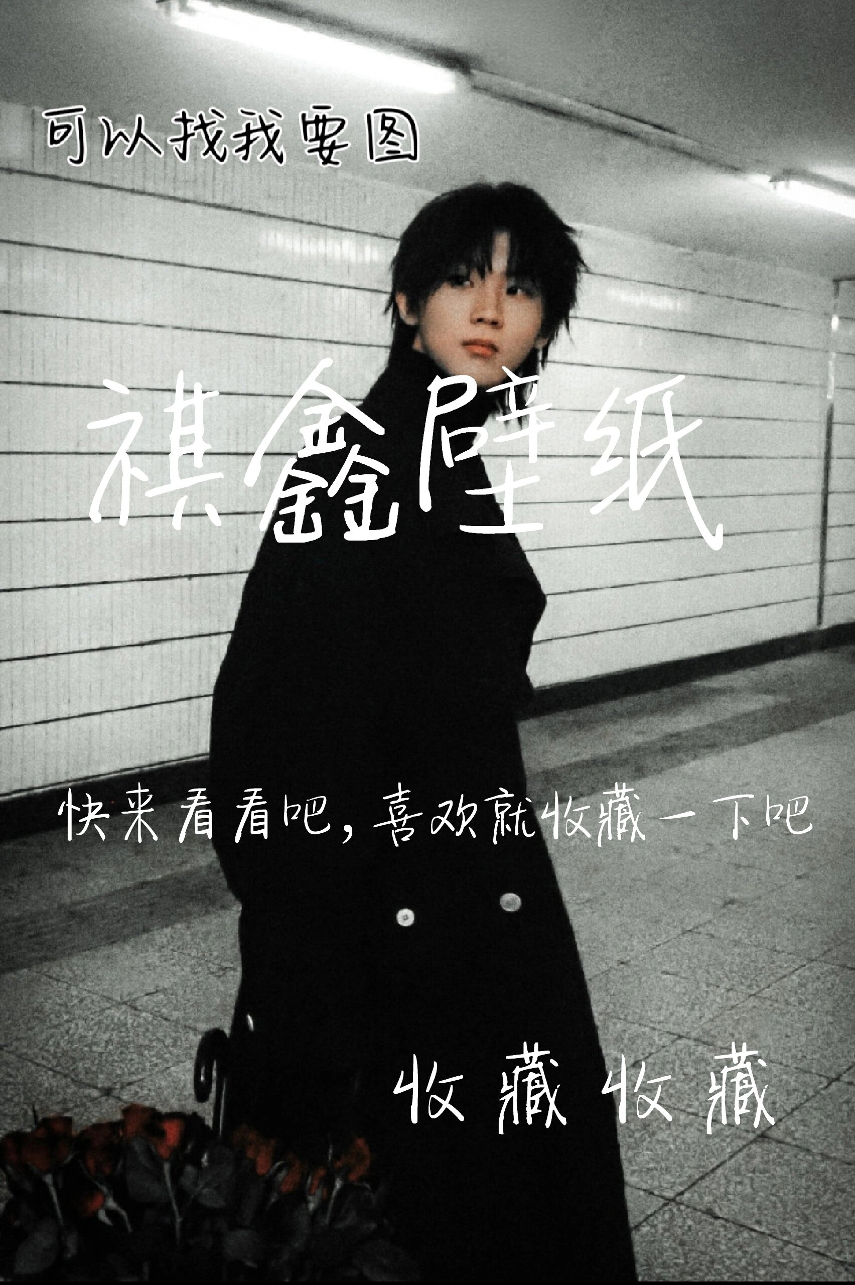 祺鑫壁纸,快进来看看,收藏收藏