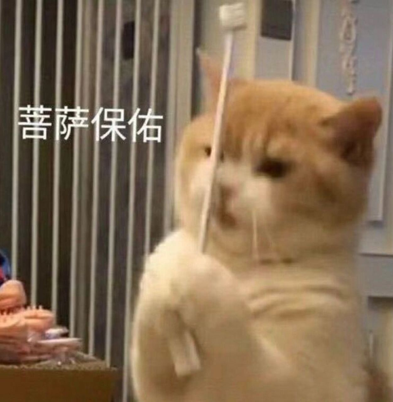 专八必过技巧 有没有好心人愿意分享听力阅读翻译改错写作实用(蒙题)