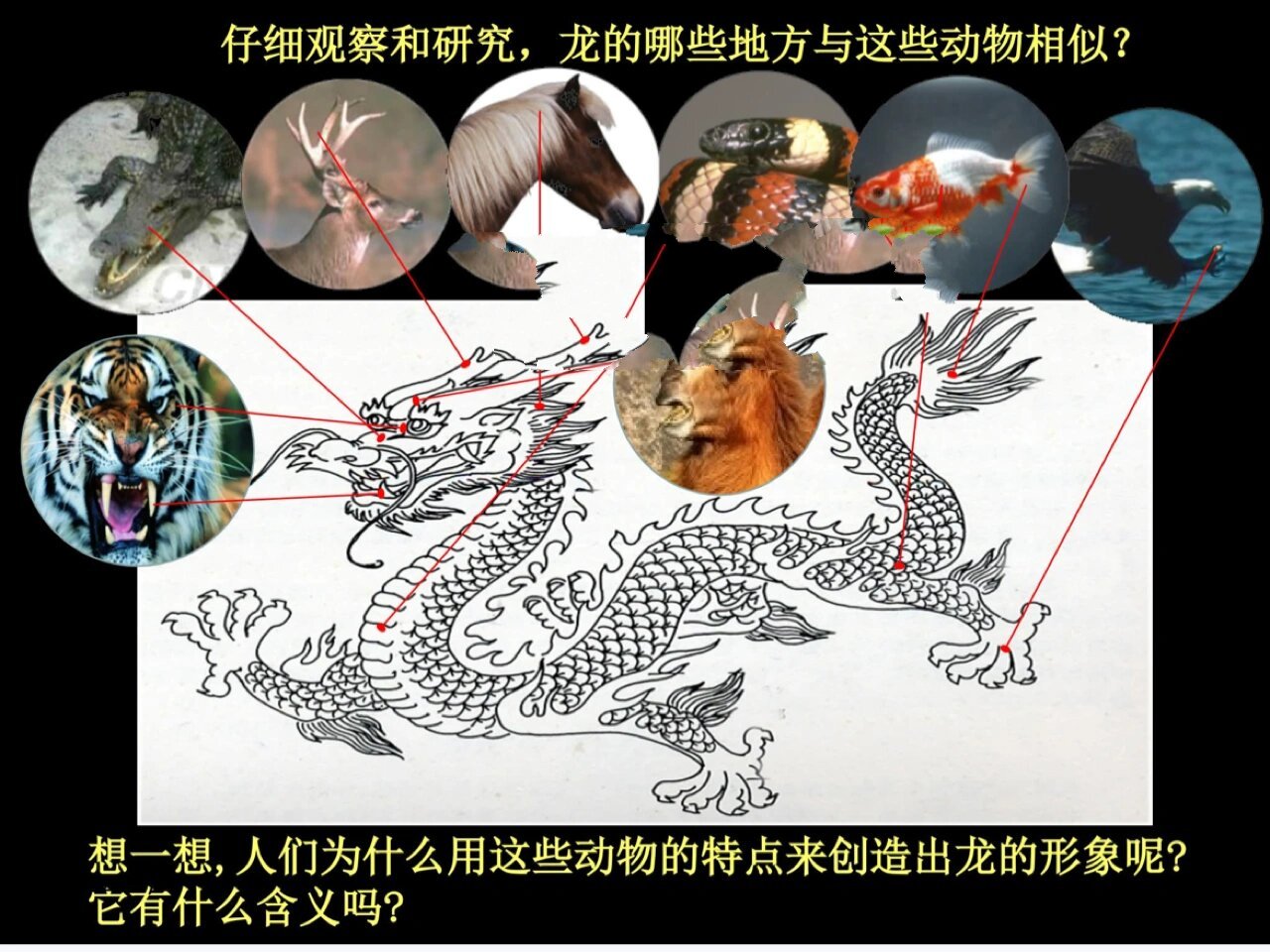 龙的组成部分图解图片