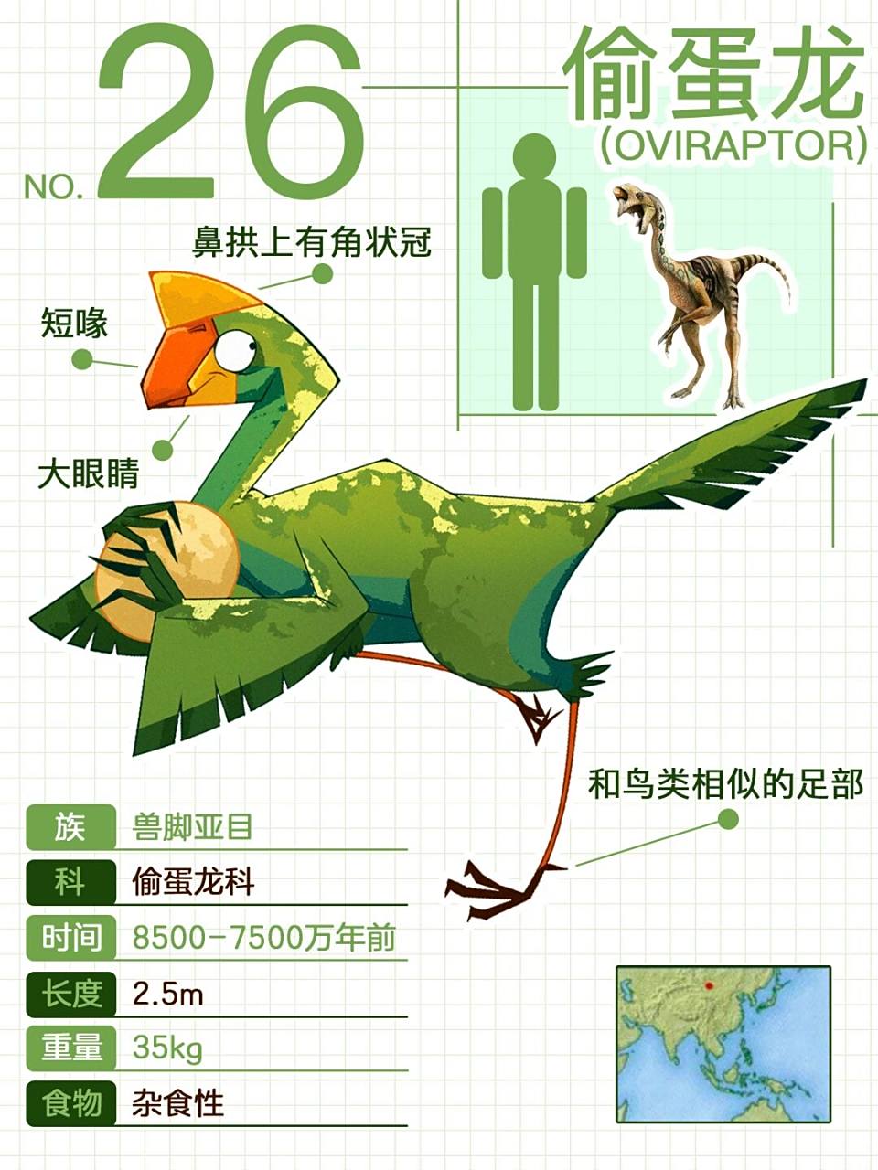 94 偷蛋龙 (oviraptor) 这种恐龙的拉丁名称是"偷蛋"的意思.