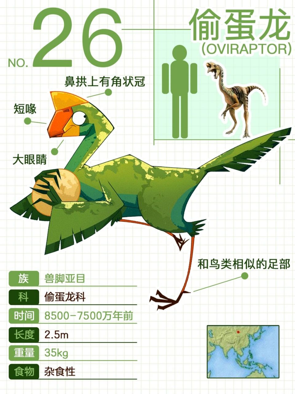 94 偷蛋龙 (oviraptor) 这种恐龙的拉丁名称是偷蛋的意思