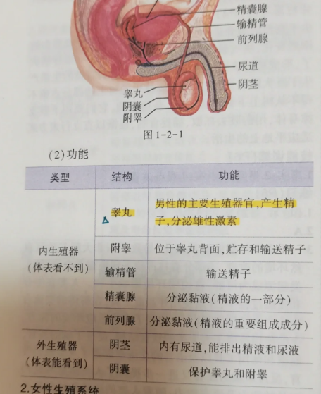 阴囊肿大疼痛可能由睾丸外伤,生殖系统感染,鞘膜积