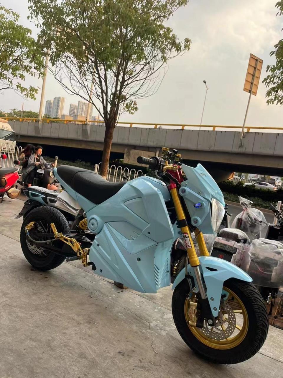 99新小改蓝色赛道猴一台 控制器:蓝德72350智能可调控制器 电机:全顺