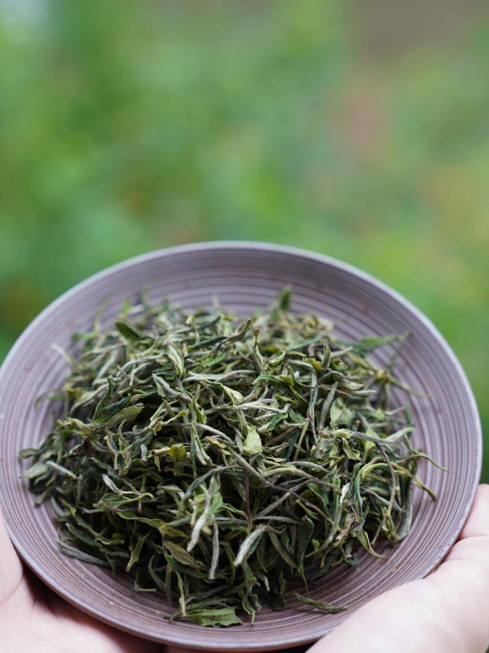 对于贡眉的认识常是一知半解,今天就花几分钟好好梳理一下,小菜茶