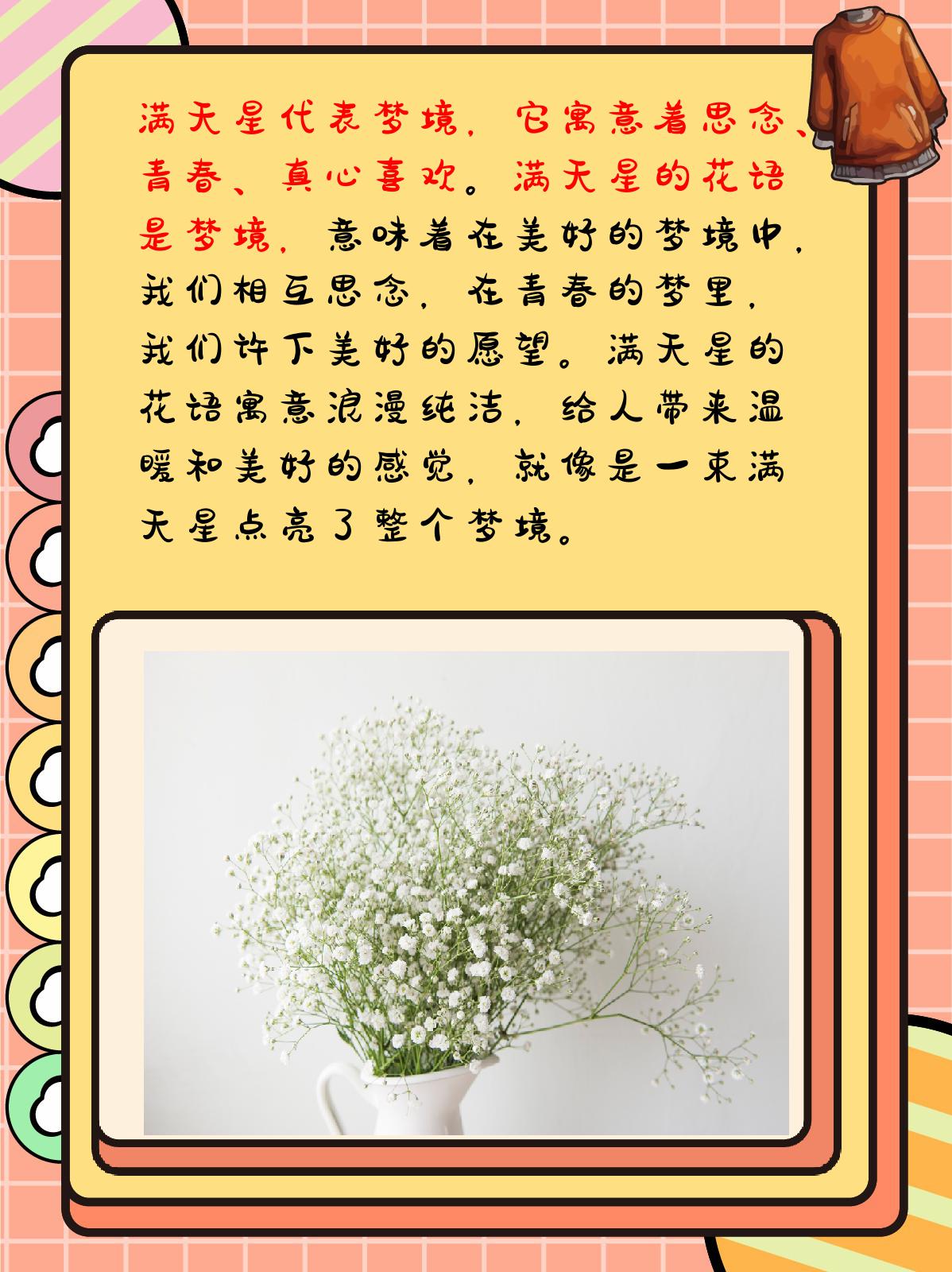 满天星的花语和寓意