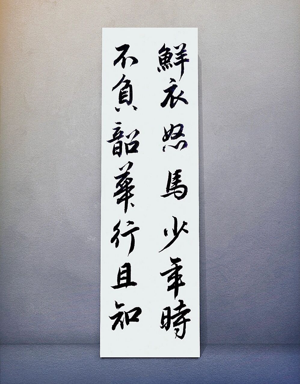 鲜衣怒马少年时,不负韶华行且知.