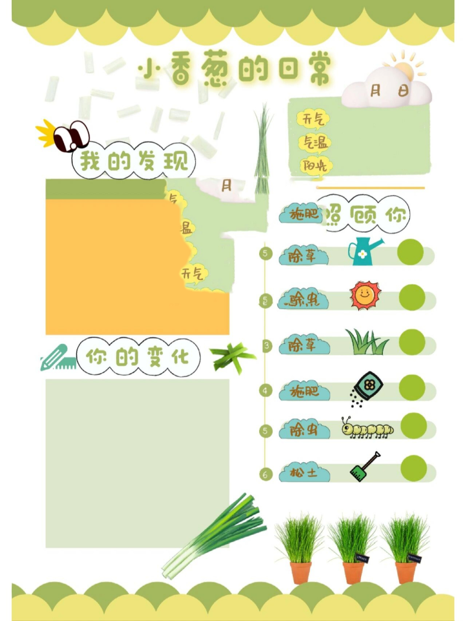 97植物角观察记录97~小香葱 薯宝宝们等了许久的95小香葱的日常