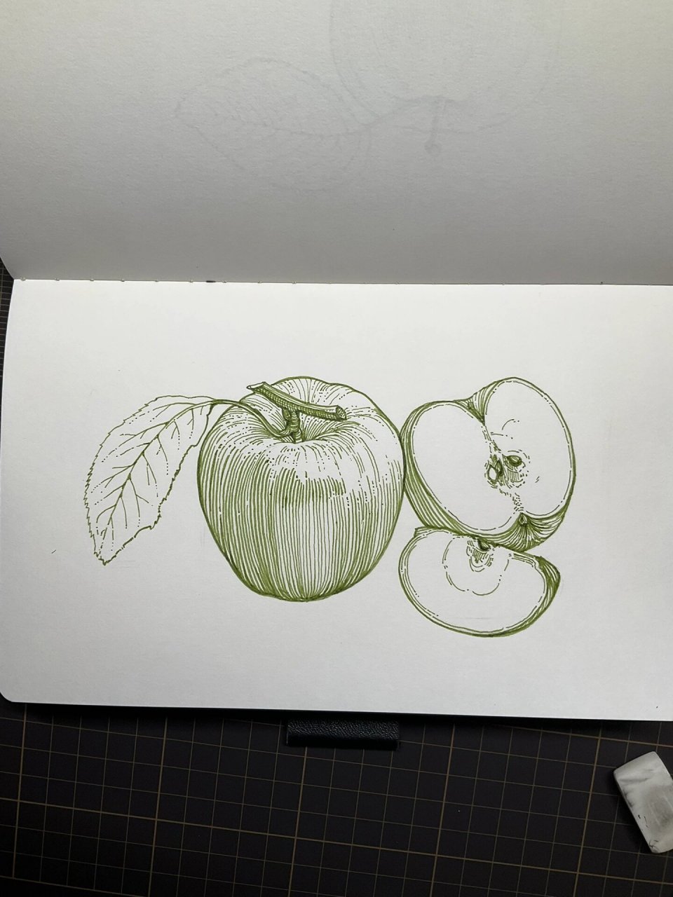 钢笔画|苹果