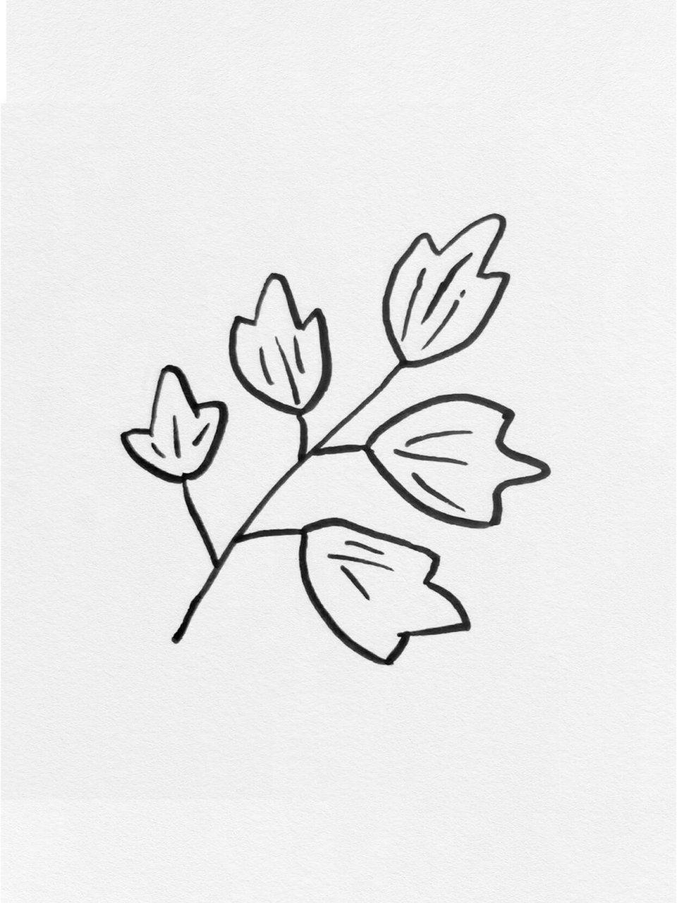 不同的叶子简笔画 用线勾勒,创意自由. 轻松学叶子绘画,绘出童心美!