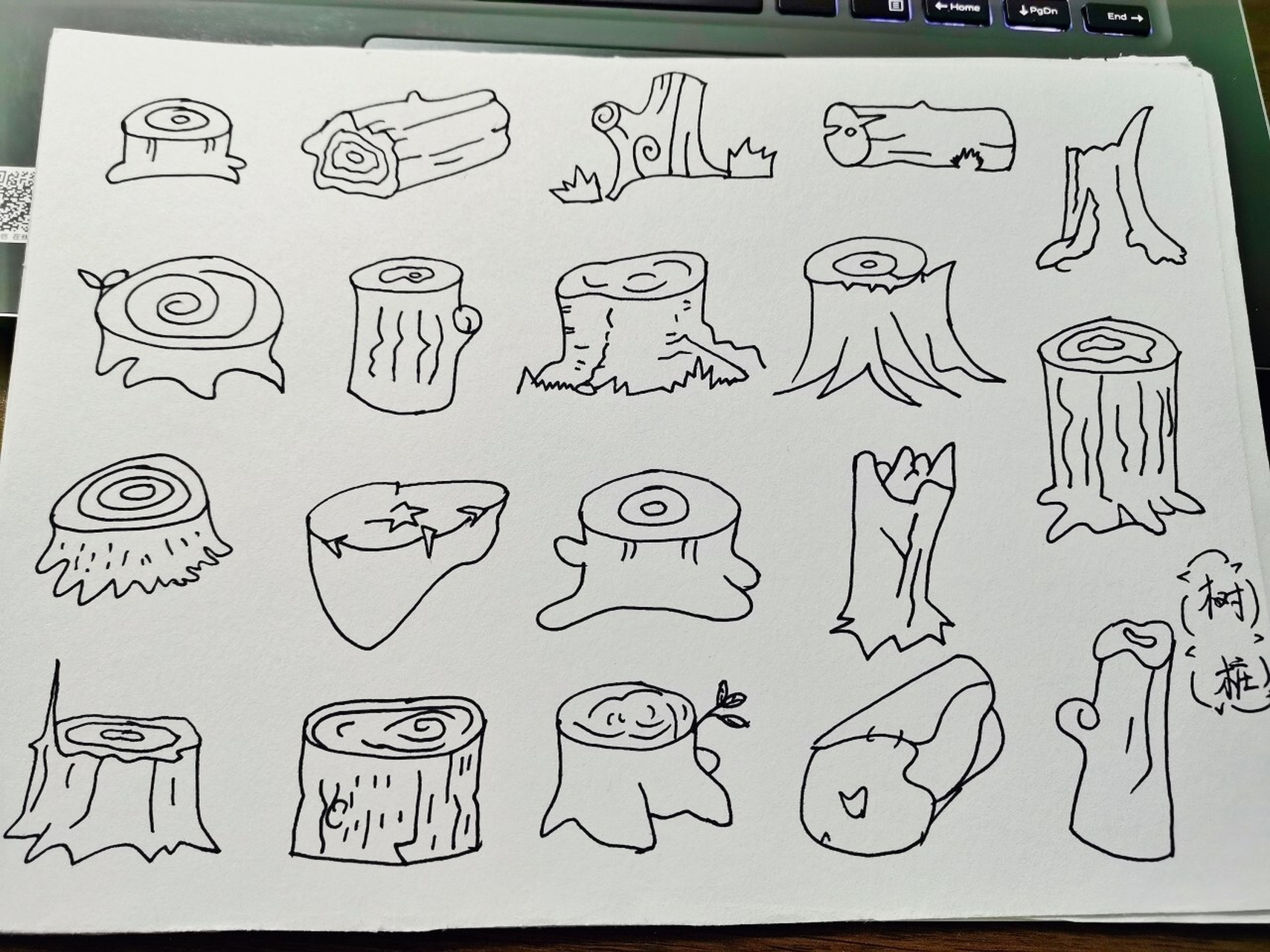 幼师day108---简笔画:树桩 这个树桩,就画的真的很像树桩嘛