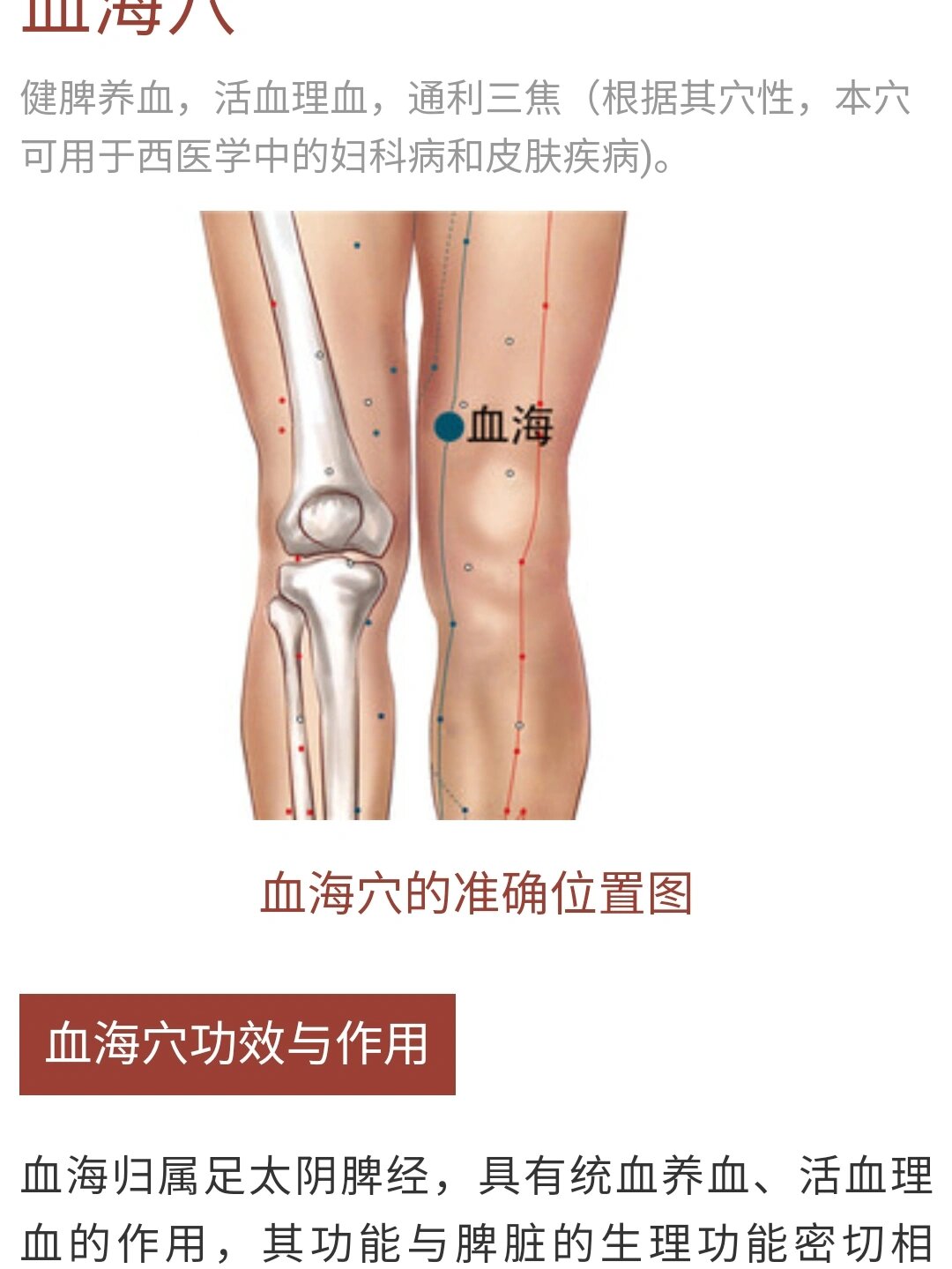 缓解痛经的神奇穴位 血海穴