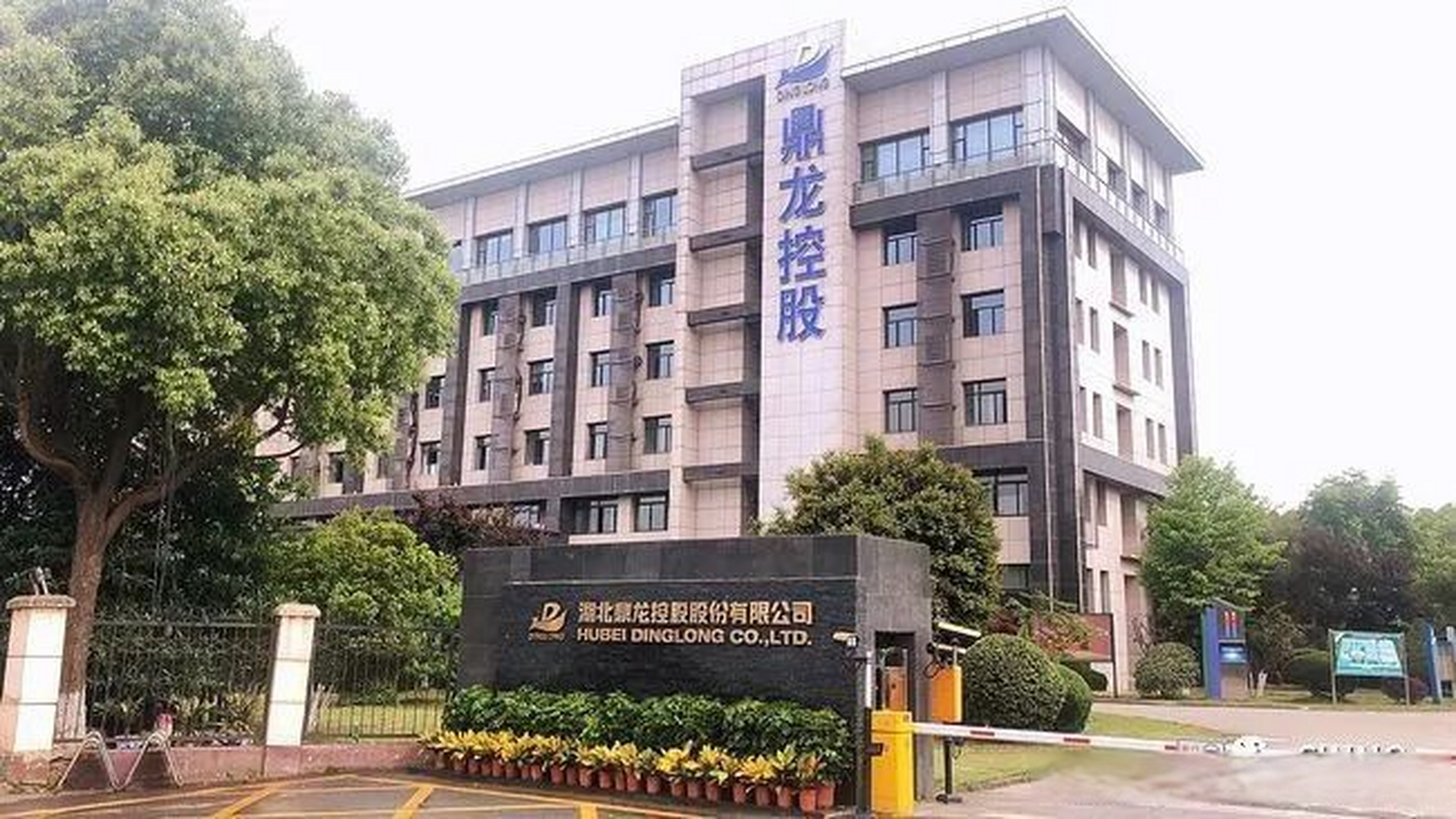 直击鼎龙股份年度股东大会:打造创新材料平台型公司  "两年前我们提出