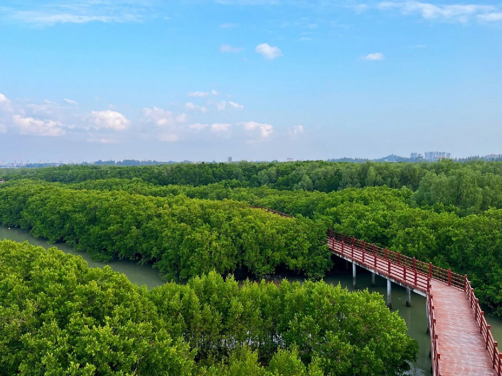 茂名电白|水东湾海洋公园 晴空万里,阳光正好, 春节期间去个人少的