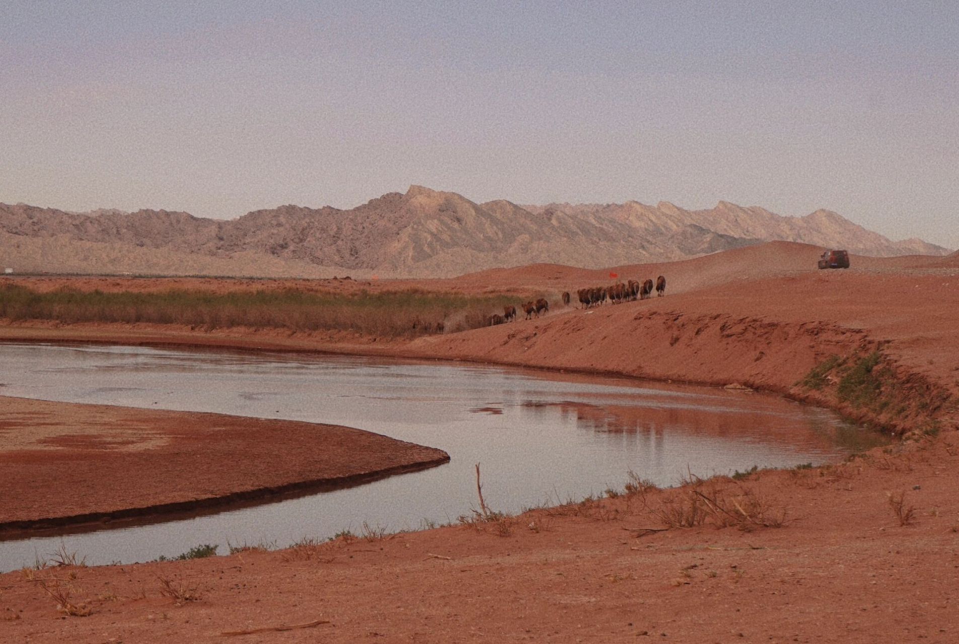 阿克苏周边游|柯坪红沙漠 柯坪县红沙漠 一个不收门票的野生景点 不想